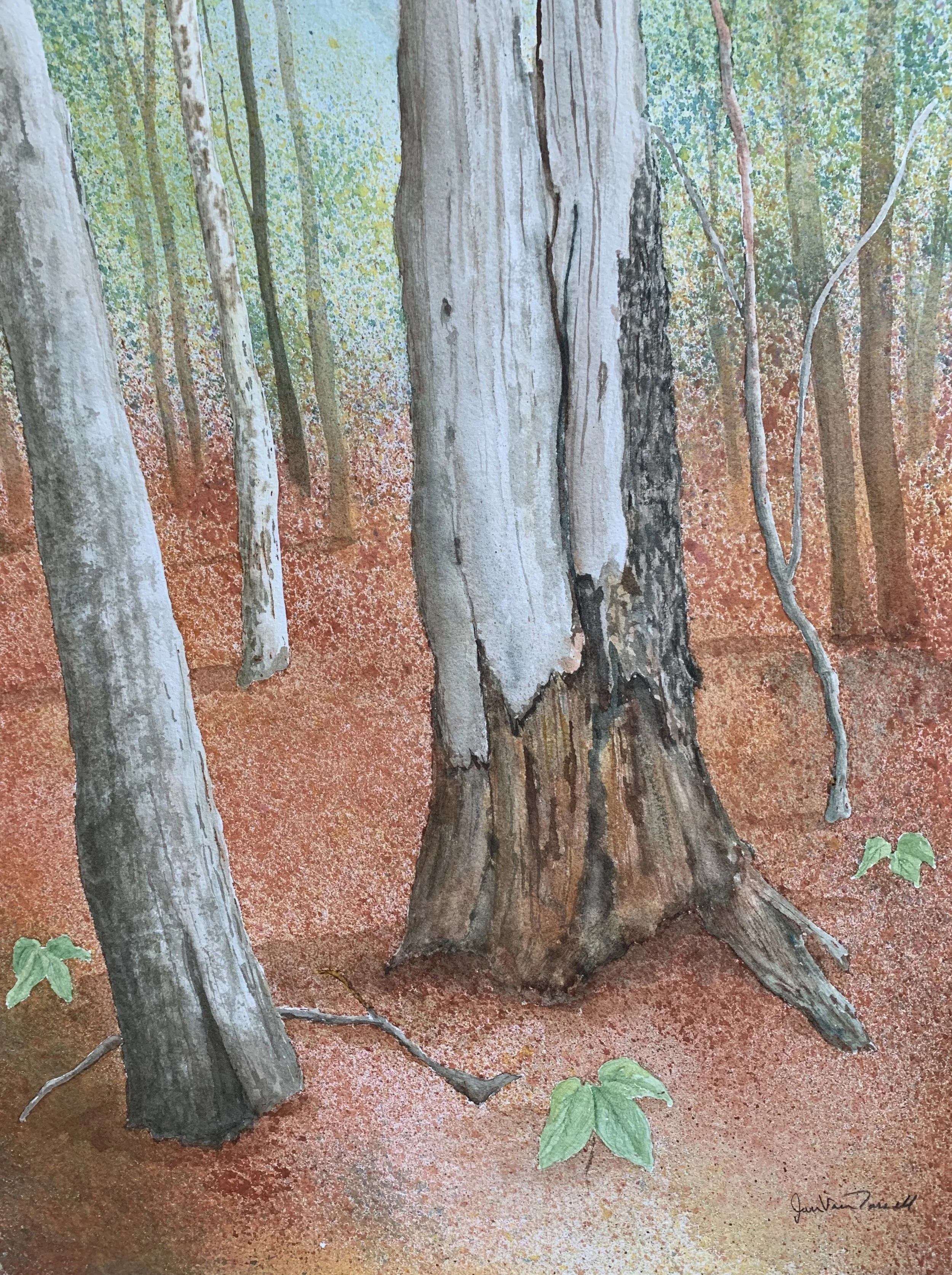 Generations, Jan Van Tassell, Watercolor, $760.