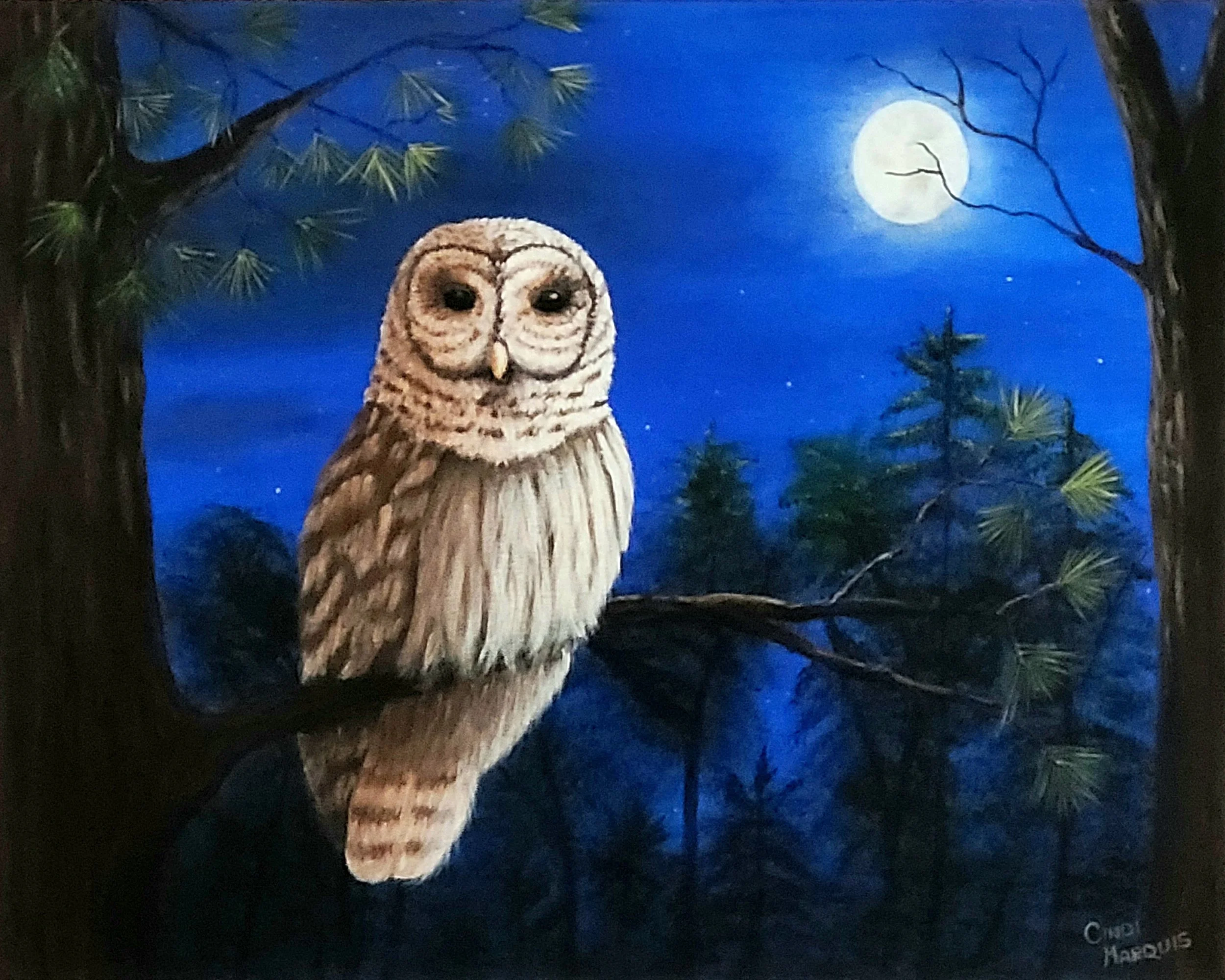 Barred Owl, Night Hunter, Cindi Marquis, Acrylic, $400.