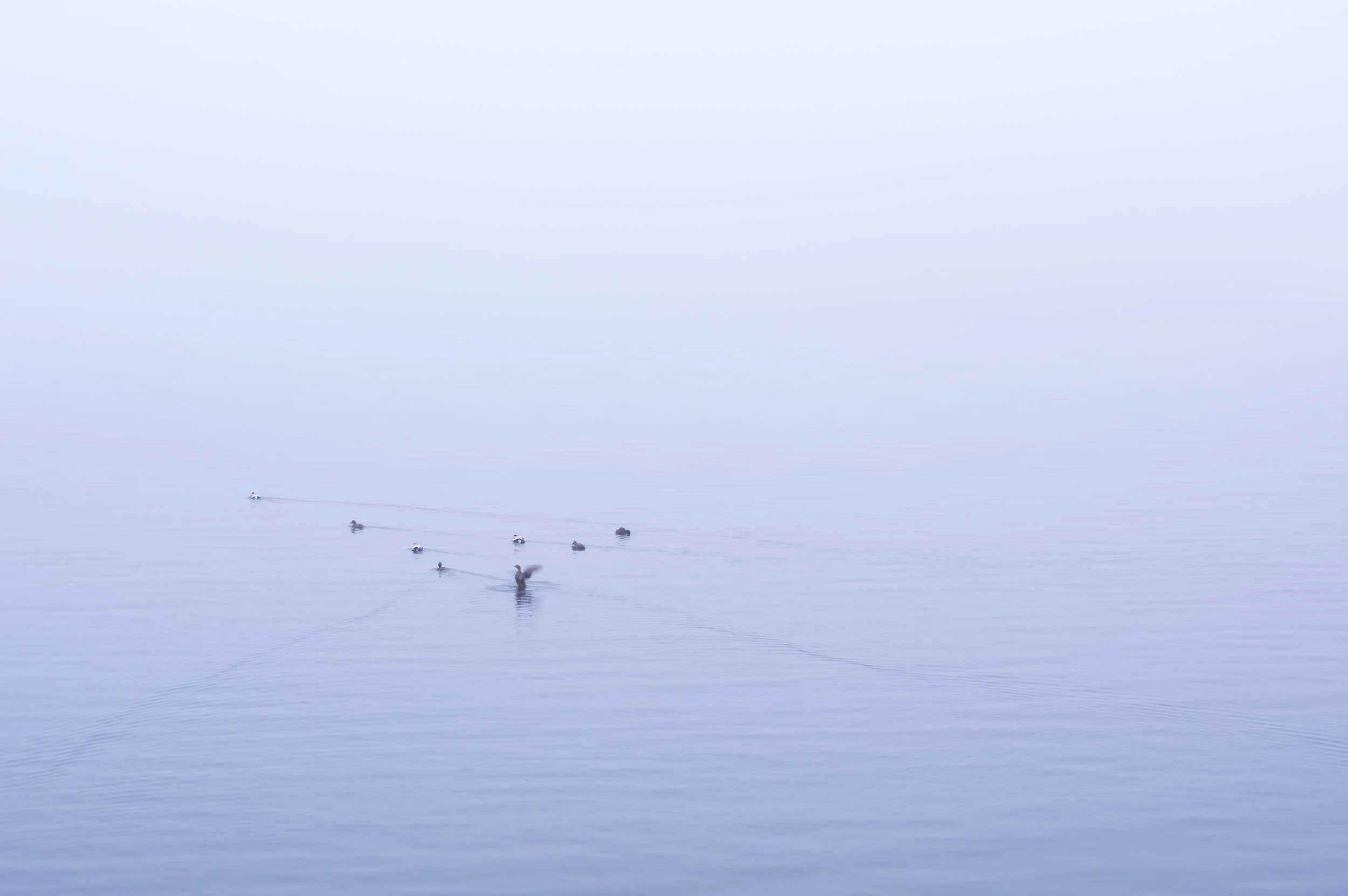 In The Void, Bennett Christiansen, Photograph, $165.