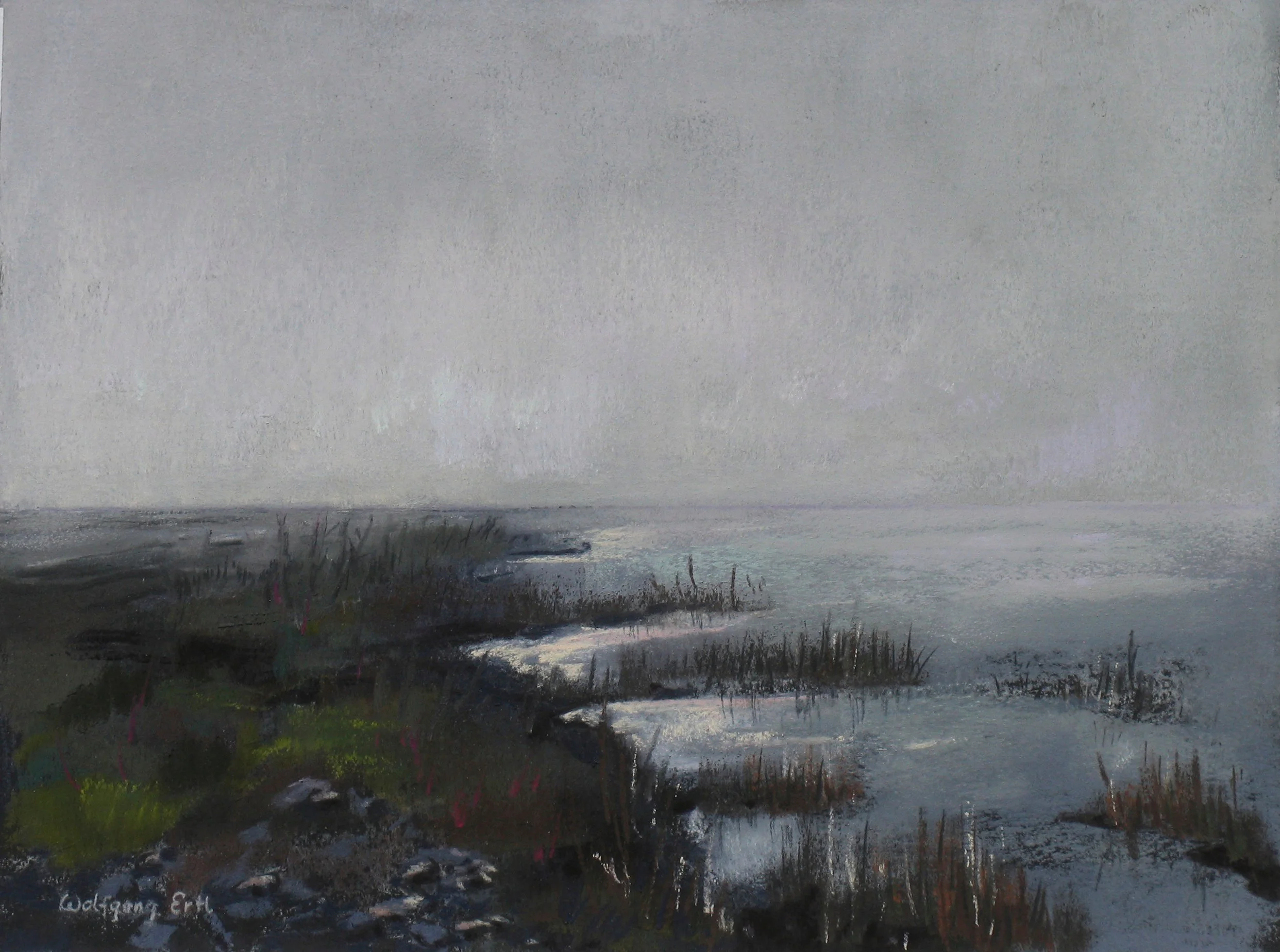Marsh Mystery, Wolfgang Ertl, Pastel, $500. 16x20"