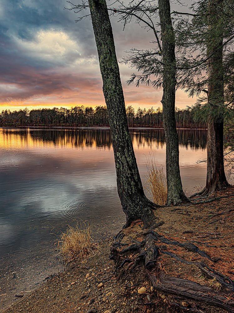 Sunset on Willand Pond, Steve Genatossio, Archival Pigment Print, $250. (16x20")