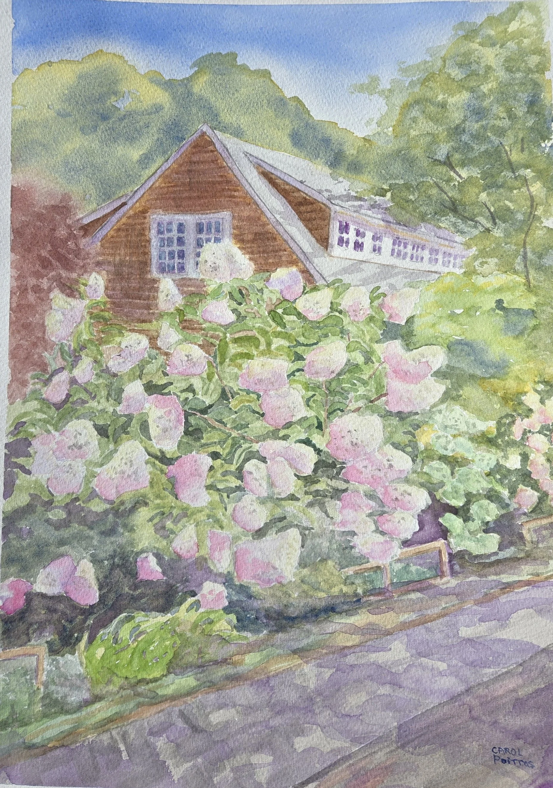 Hydrangeas, Carol Poitras, Watercolor, $225. (16"x20")