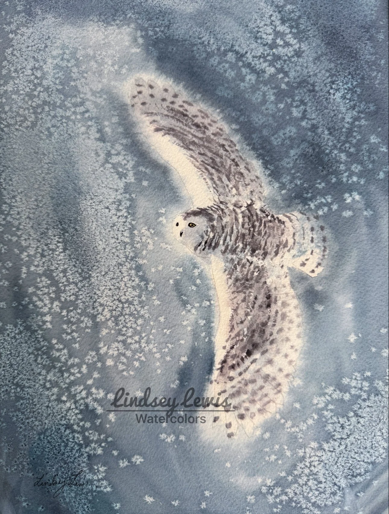 Stormy Flight, Lindsey Lewis, Watercolor, $300.