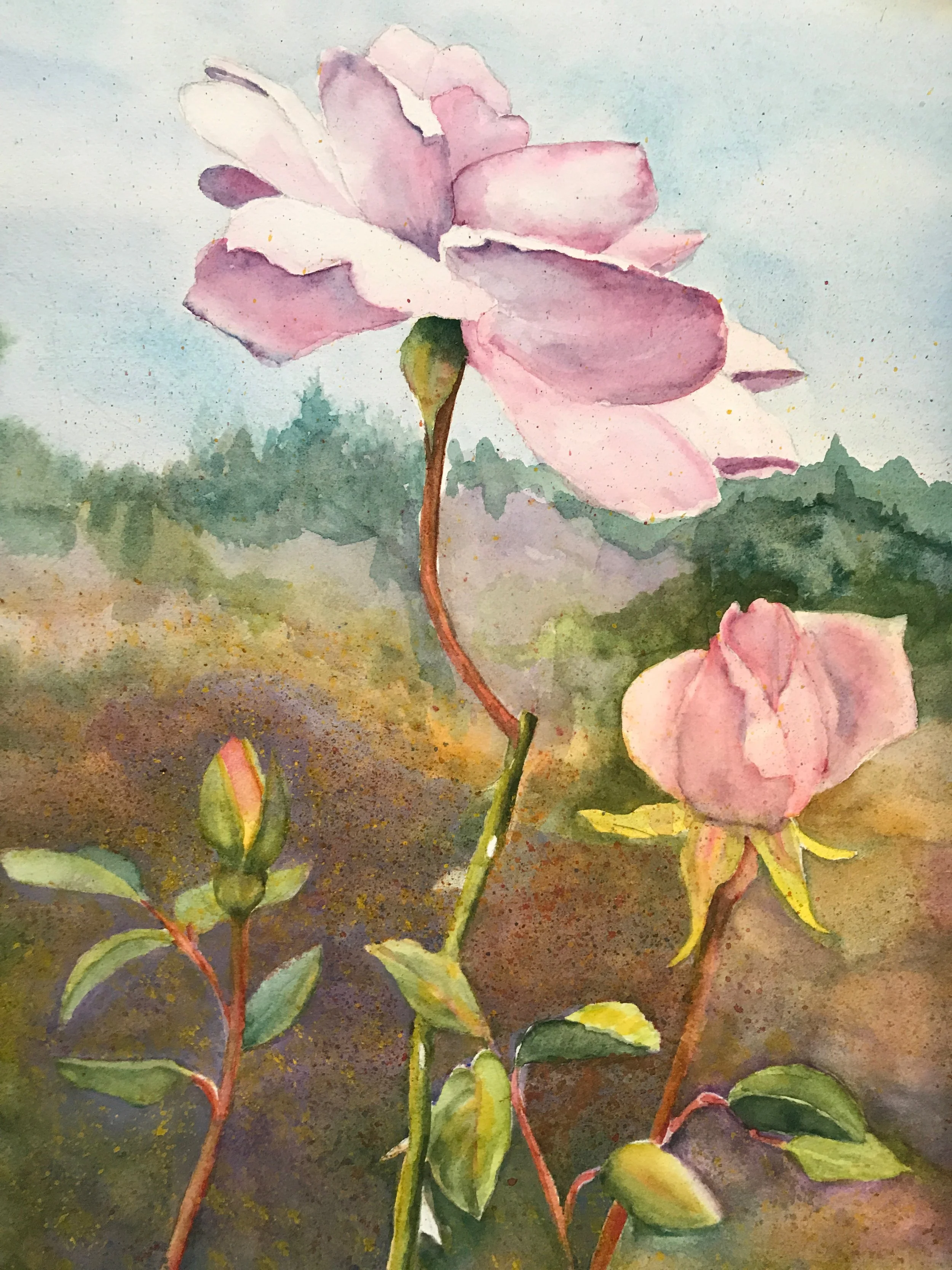 Pretty In Pink, Susie Hitchcox, Watercolor, $300.