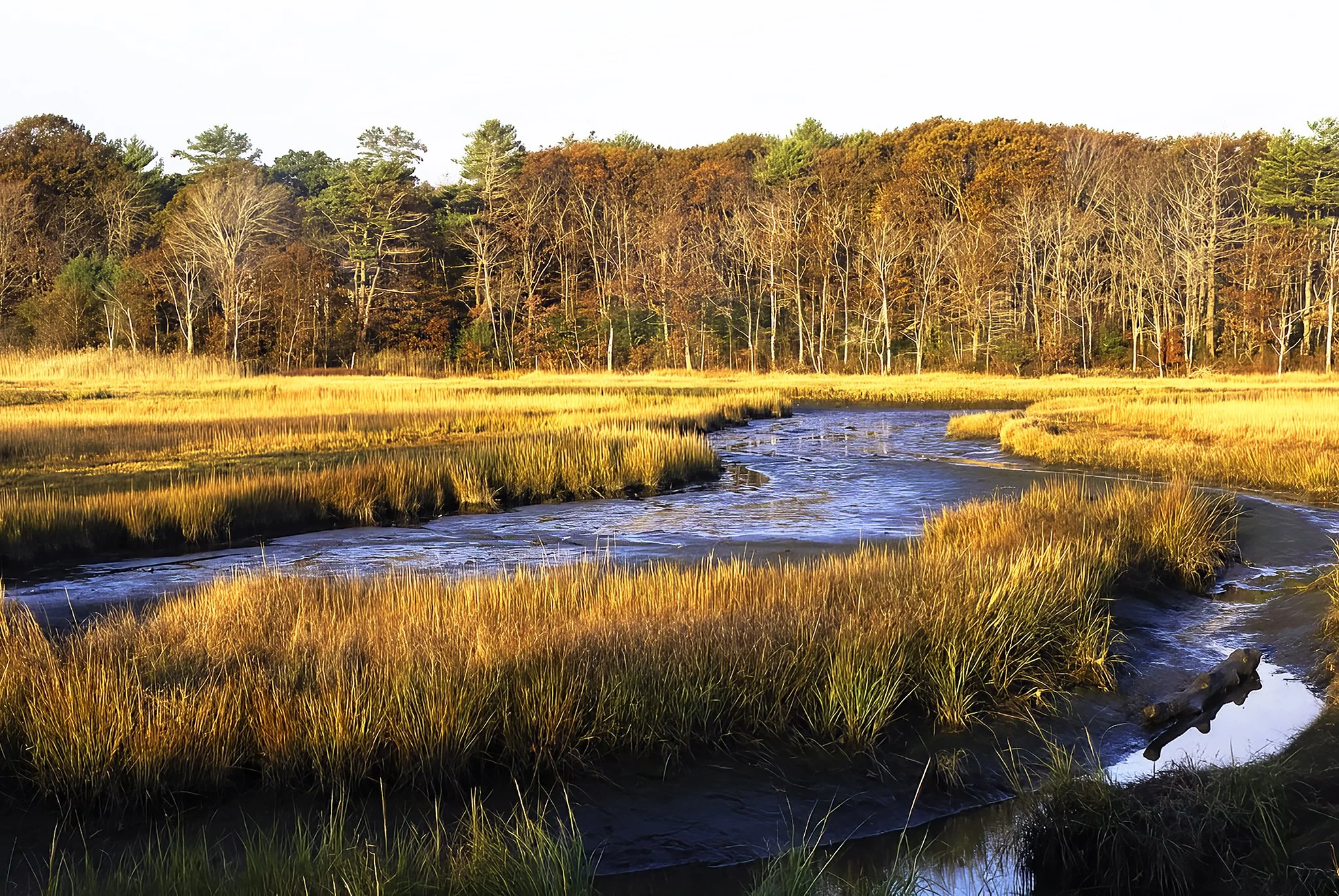 Salt Marsh Sunrise, Michael Sterling, Digital Photography, $265.