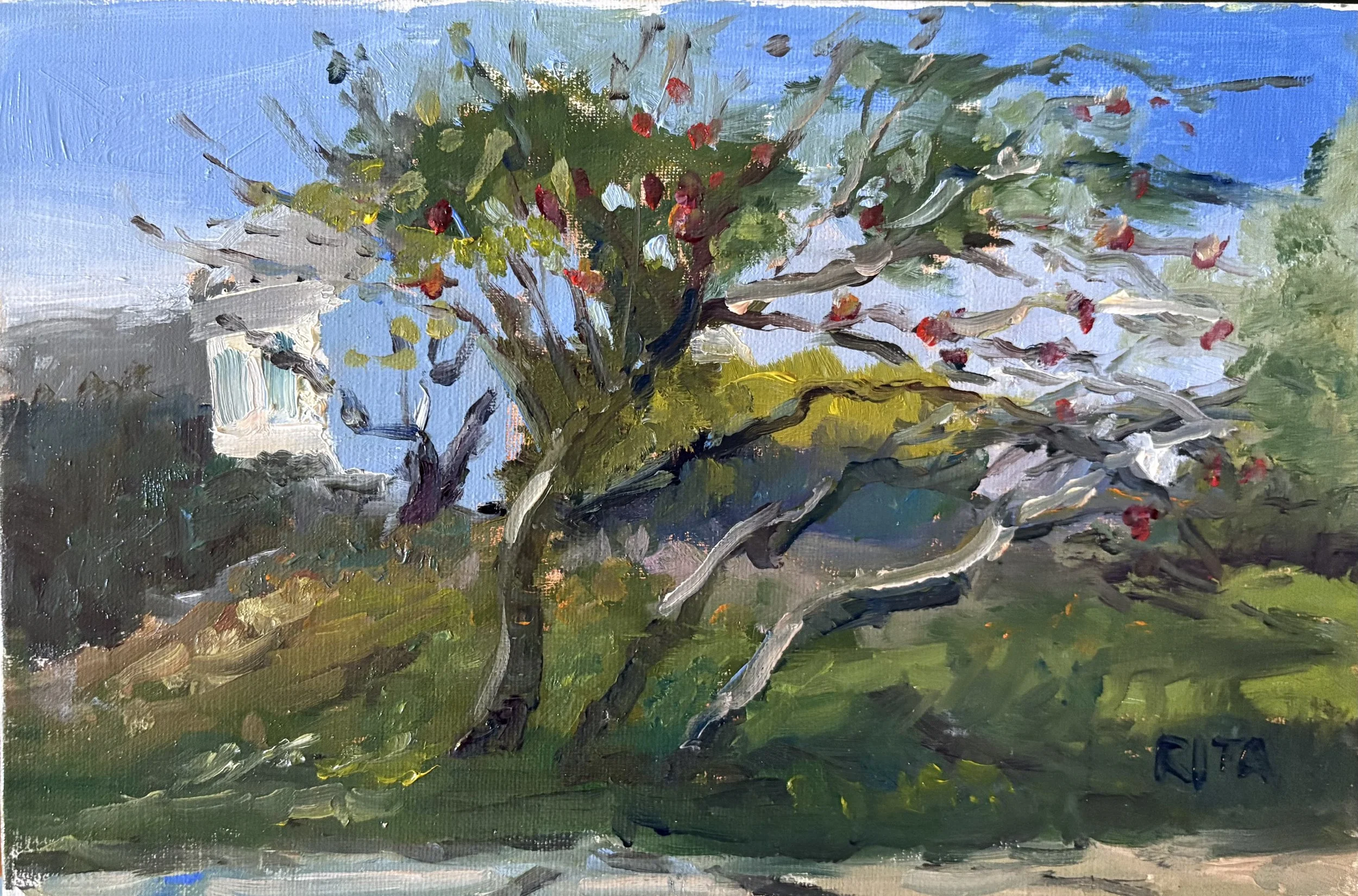 Apple Tree, Rita Pomerleau, Oil, $200. 6x9"