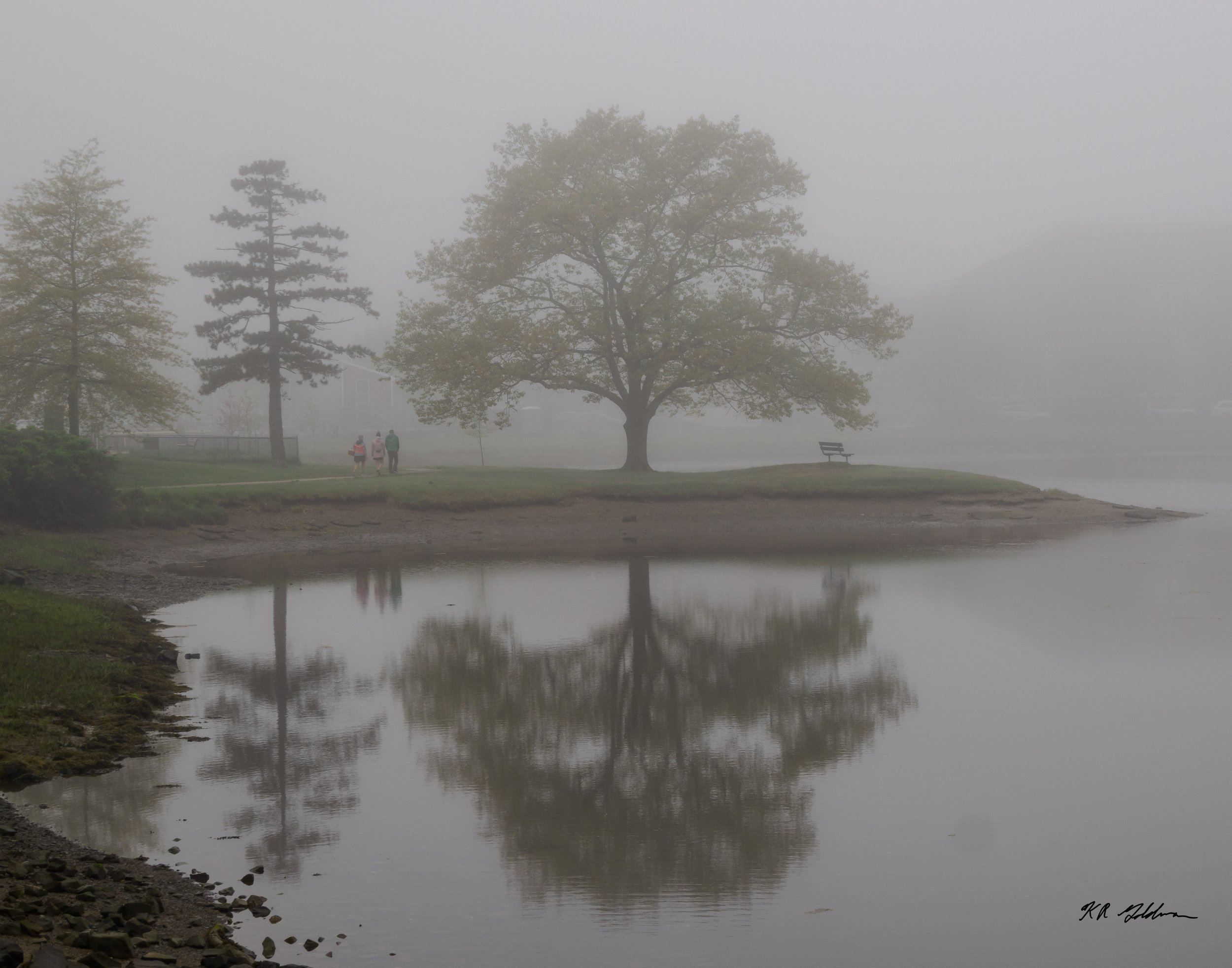 Misty Morning, South Mill Pond, Ken Goldman, Photograph on Archival Paper, $225. (16"x20"