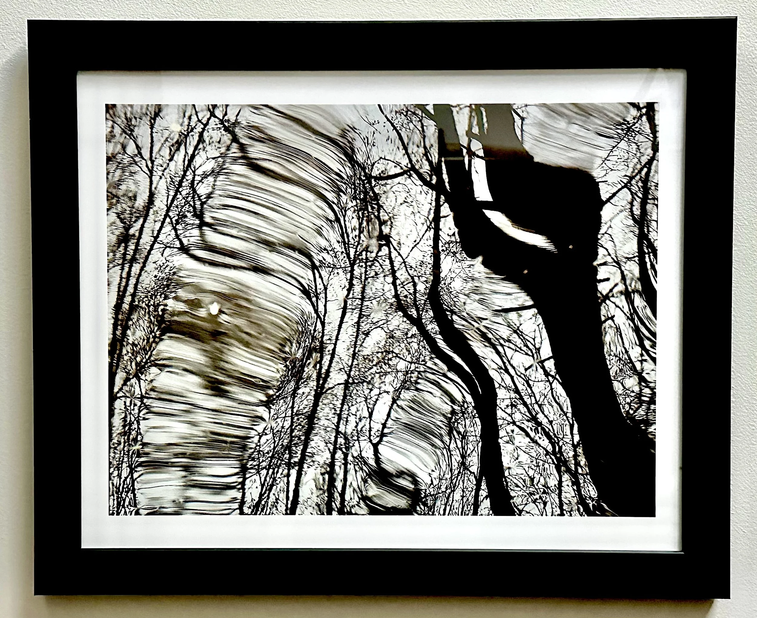 Forest Reflection, Anna Ryan Mercik, Photograph, $200. (18"x22")