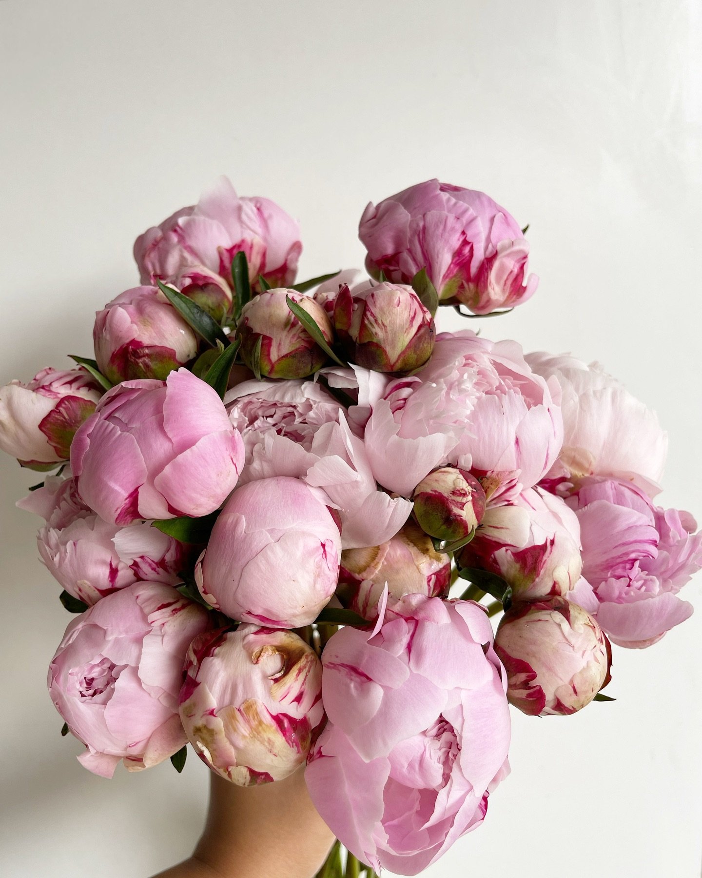 Peonies are on their way to us and soon it&rsquo;ll be delivered on your doorstep.🎀💕 
Orders over $110 will include peonies this Mother&rsquo;s Day weekend 🫶🏼