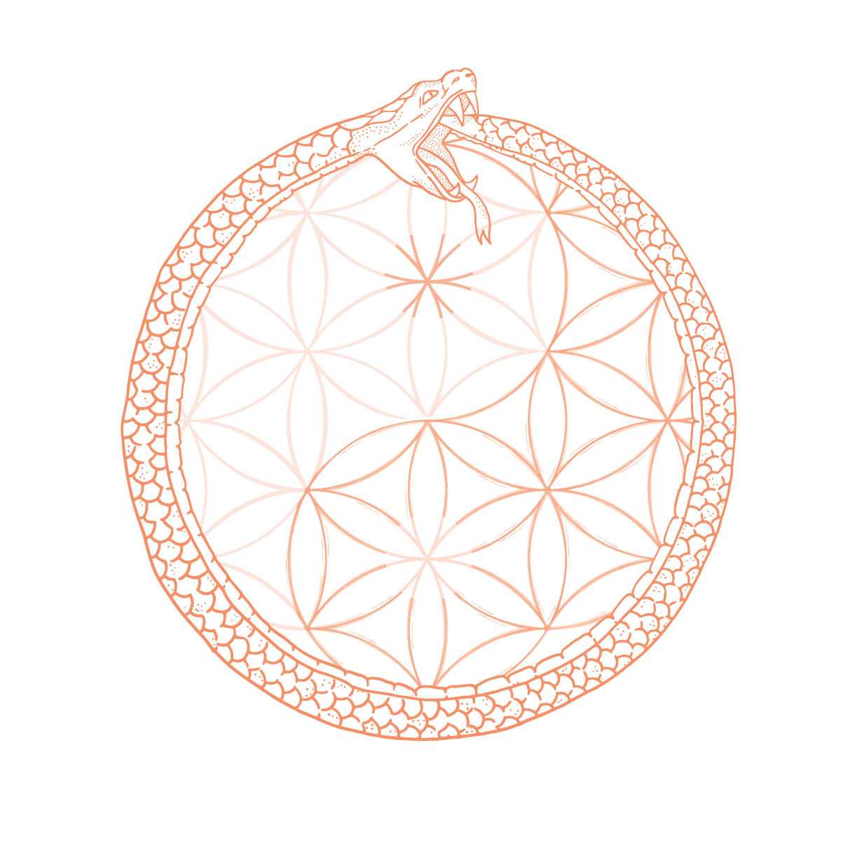 Ish-Logo-Transparent-03.png