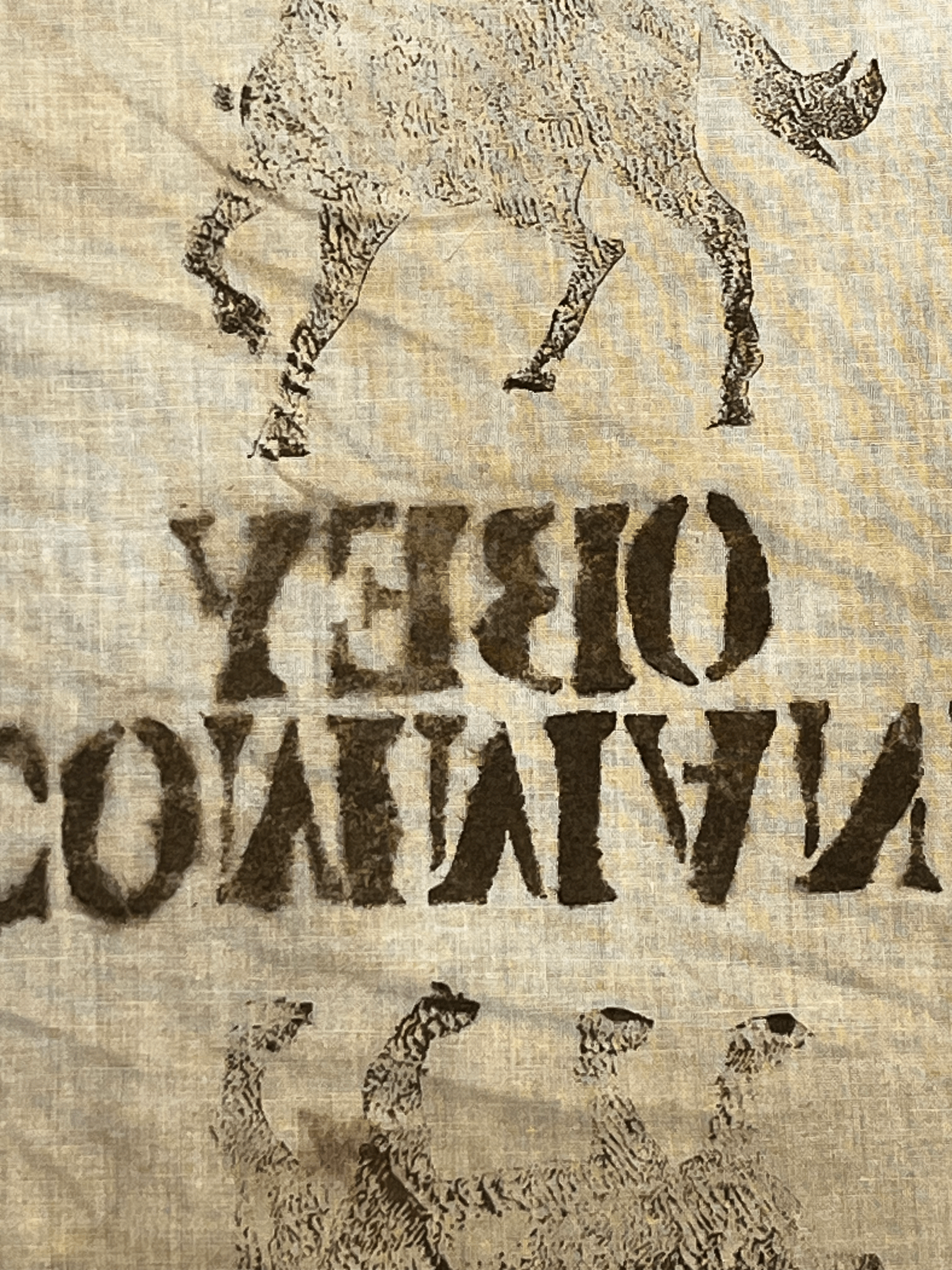 Command/Obey, dye on cotton (Raz)