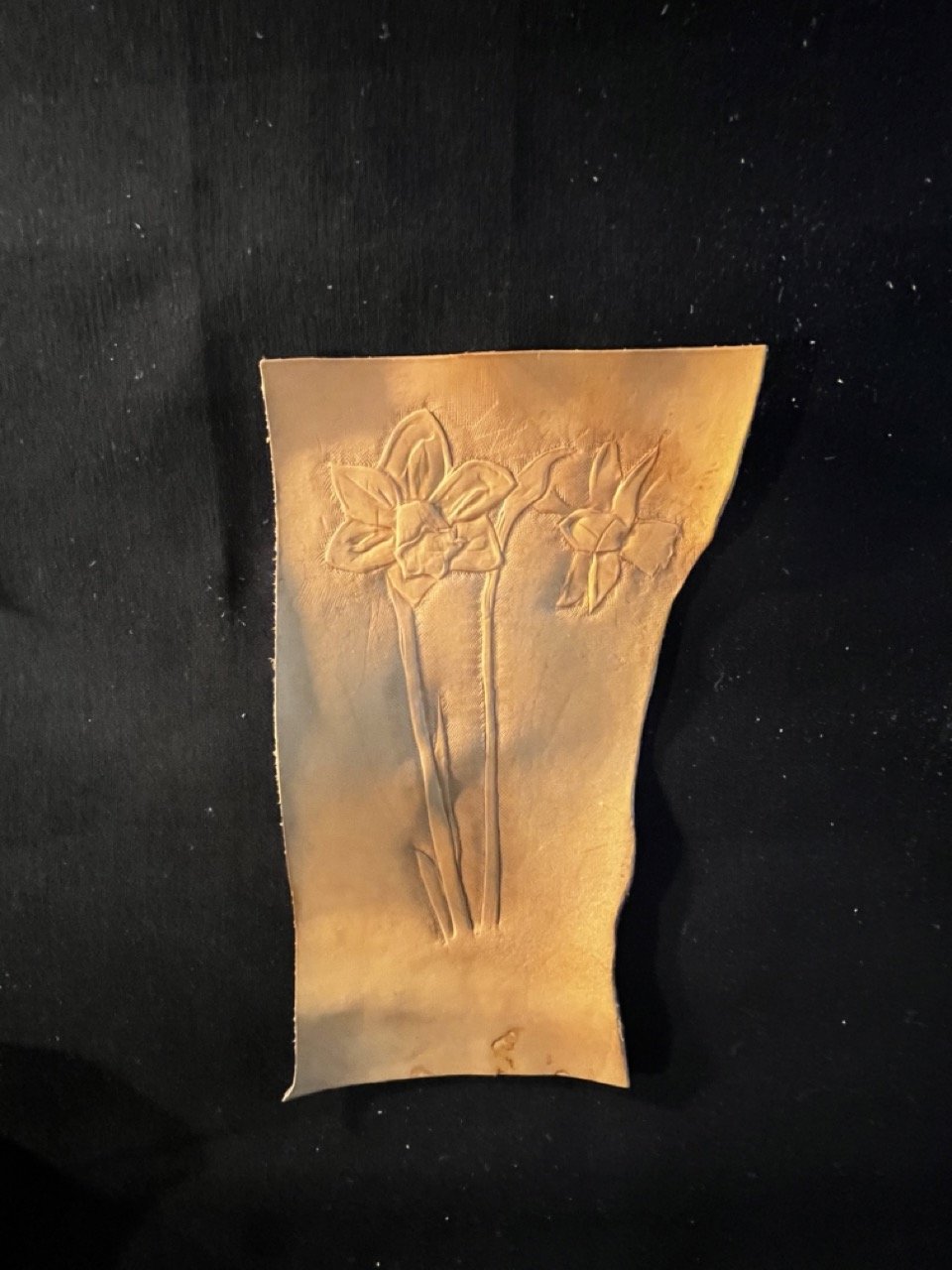 RotemRaz_Daffodil,_leather_8”x4.75”.jpeg