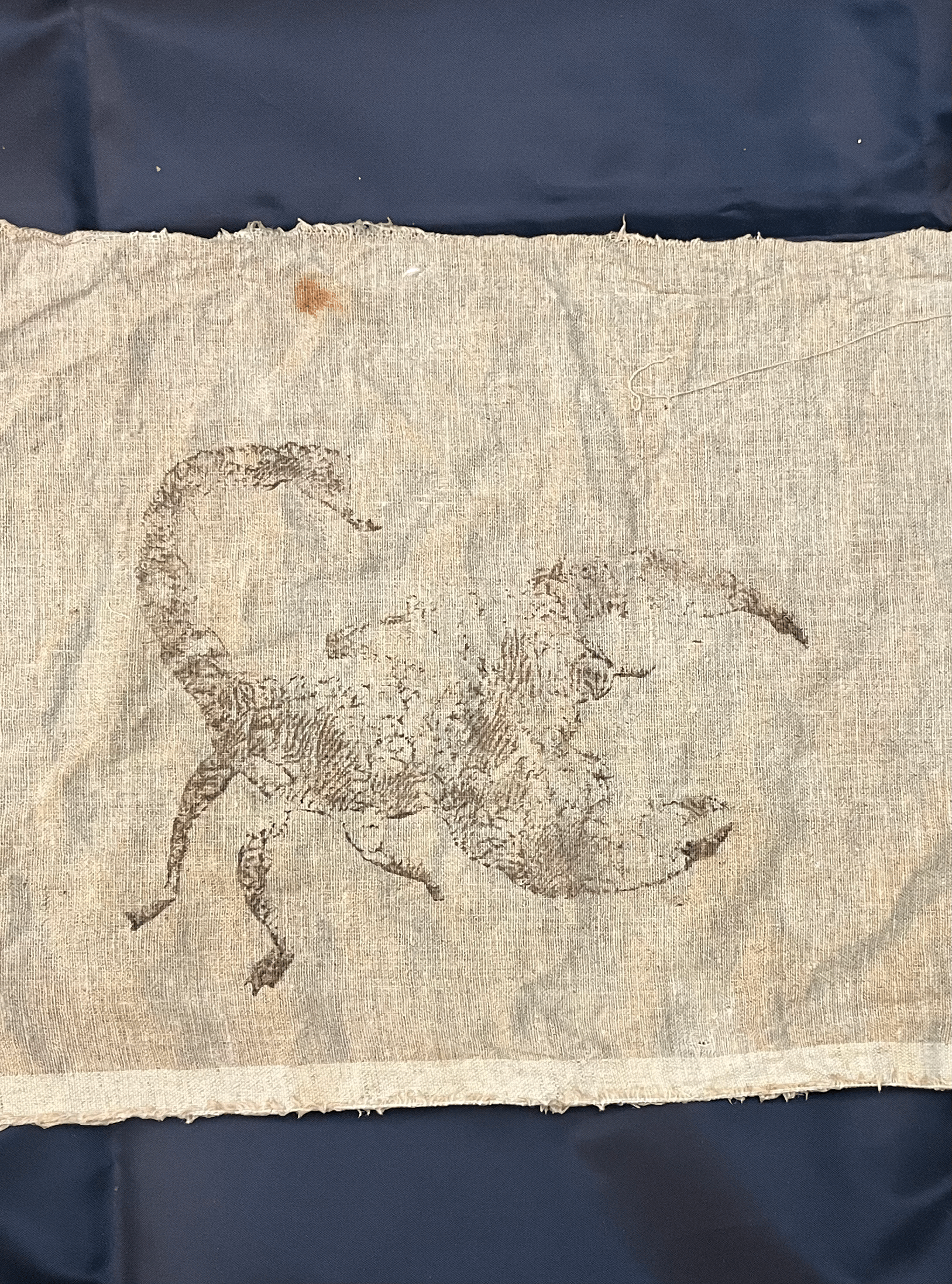 Scorpion