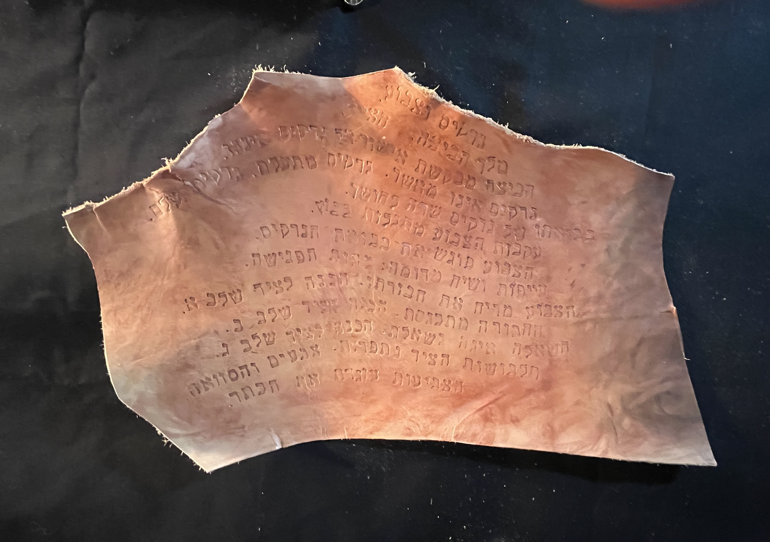 Narcissus and Hyena, 2025, original poem o leather, 21"x11.5