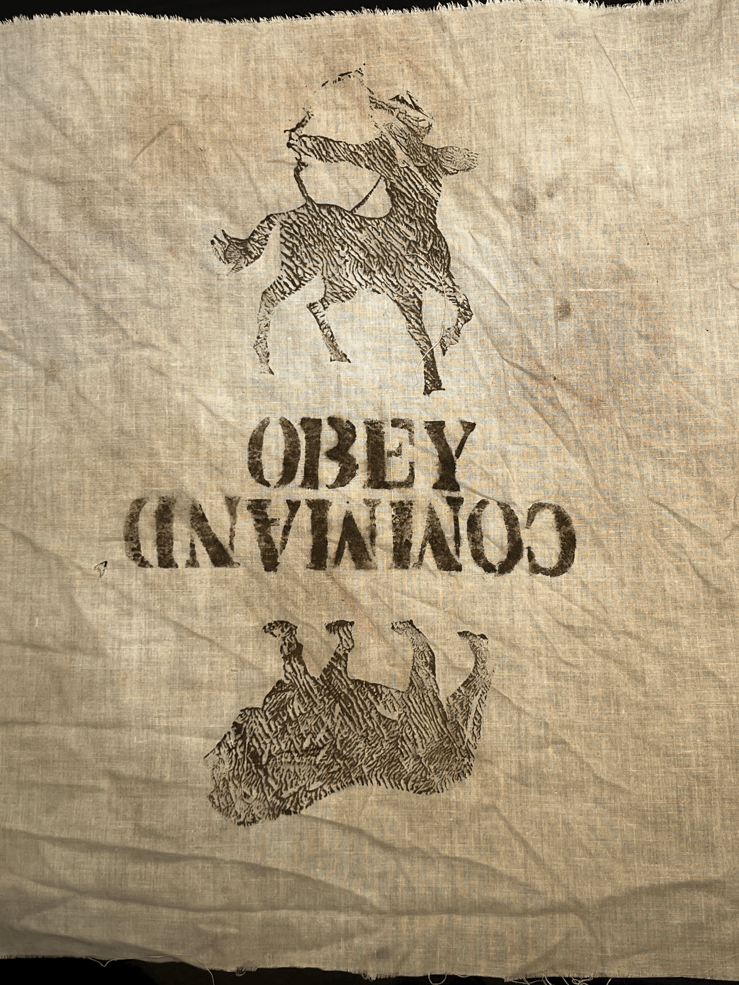 Command/Obey, dye on cotton (Raz)