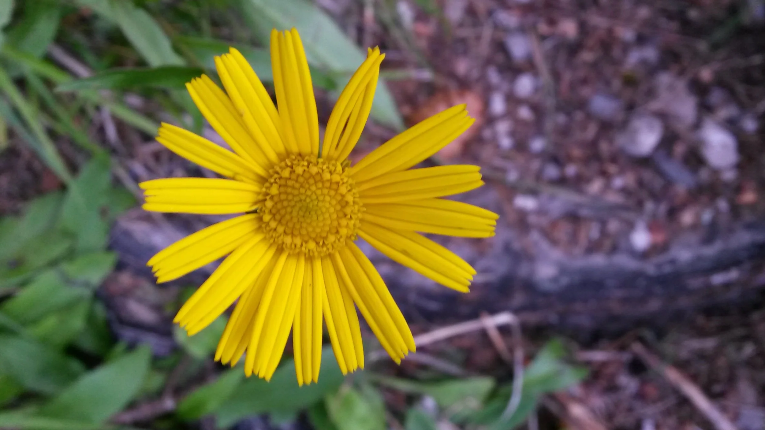 Erzählcafé am Friedhof