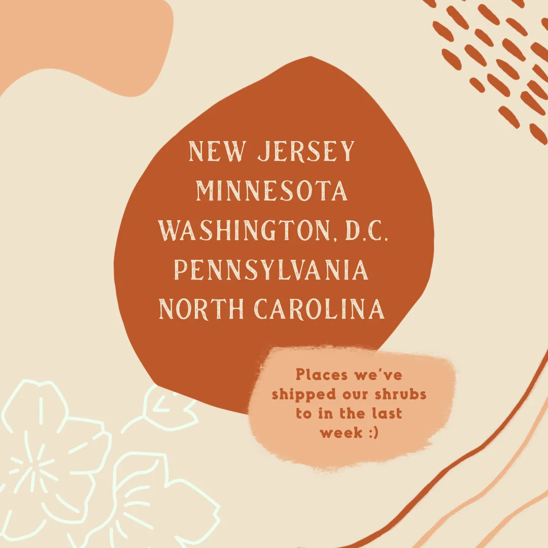 I'm always fascinated by all the wonderful places our shrubs end up traveling to! Here's everywhere we shipped an order off to this week. ​​​​​​​​
​​​​​​​​
Placing an online order is a wonderful way to ship a shrub to a loved one, who might live just