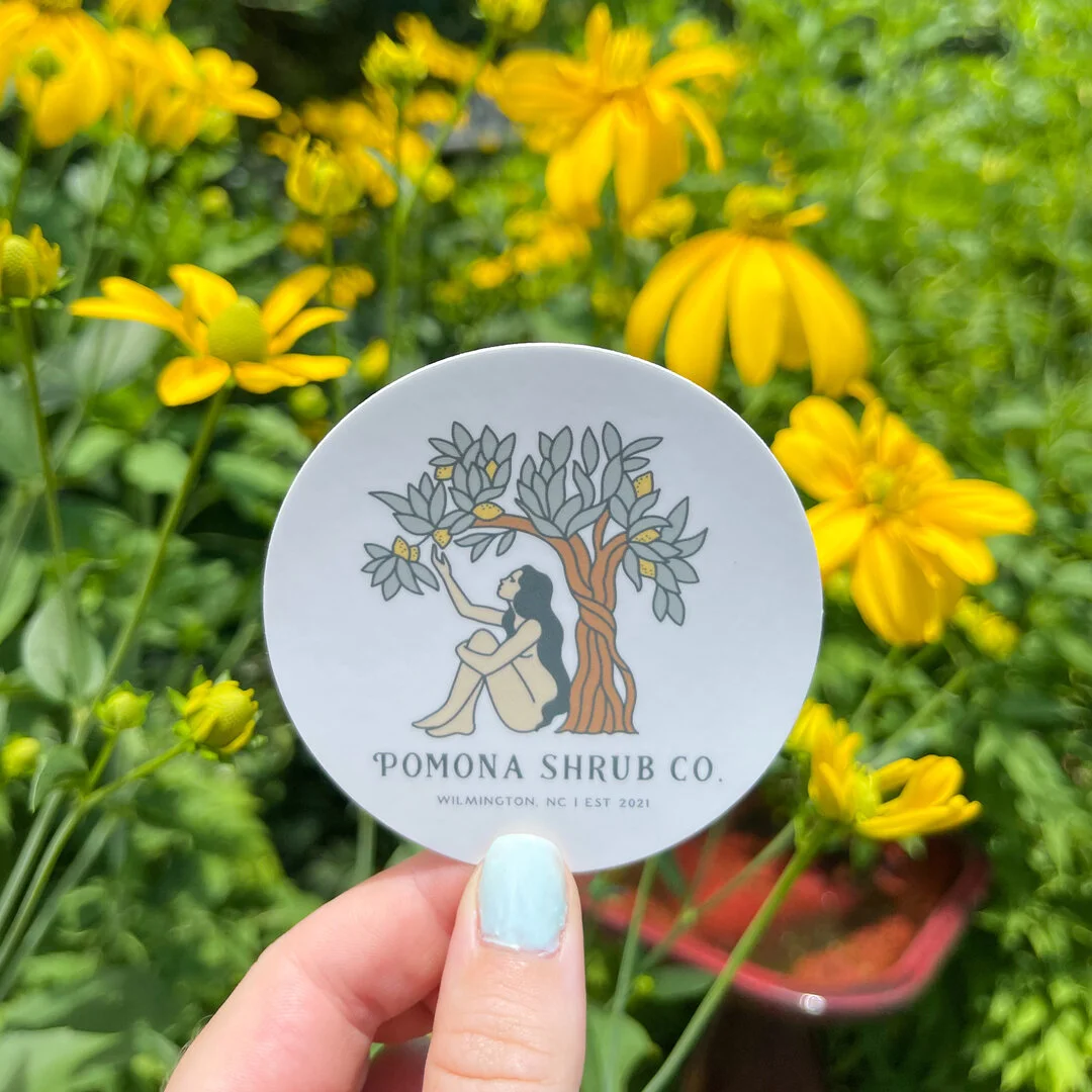 The weekend is A L M O S T here and that means it's almost time for our Saturday markets! As usual, we'll be all set up at @thewilmingtonfarmersmarket and the @carolinabeachmarket from 8 AM - 1 PM on Saturday. We'd love to see you at either (or maybe