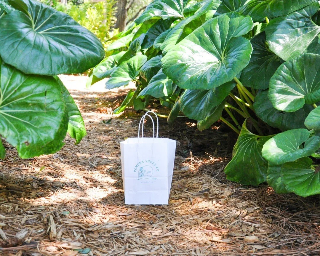 It'll be a typical Monday for us tomorrow! You can find us at the Wrightsville Beach Market from 8 AM - 1 PM.​​​​​​​​
​​​​​​​​
P.S. This is your reminder to gather together those empty bottles, as we can definitely reuse them. You can save a little m