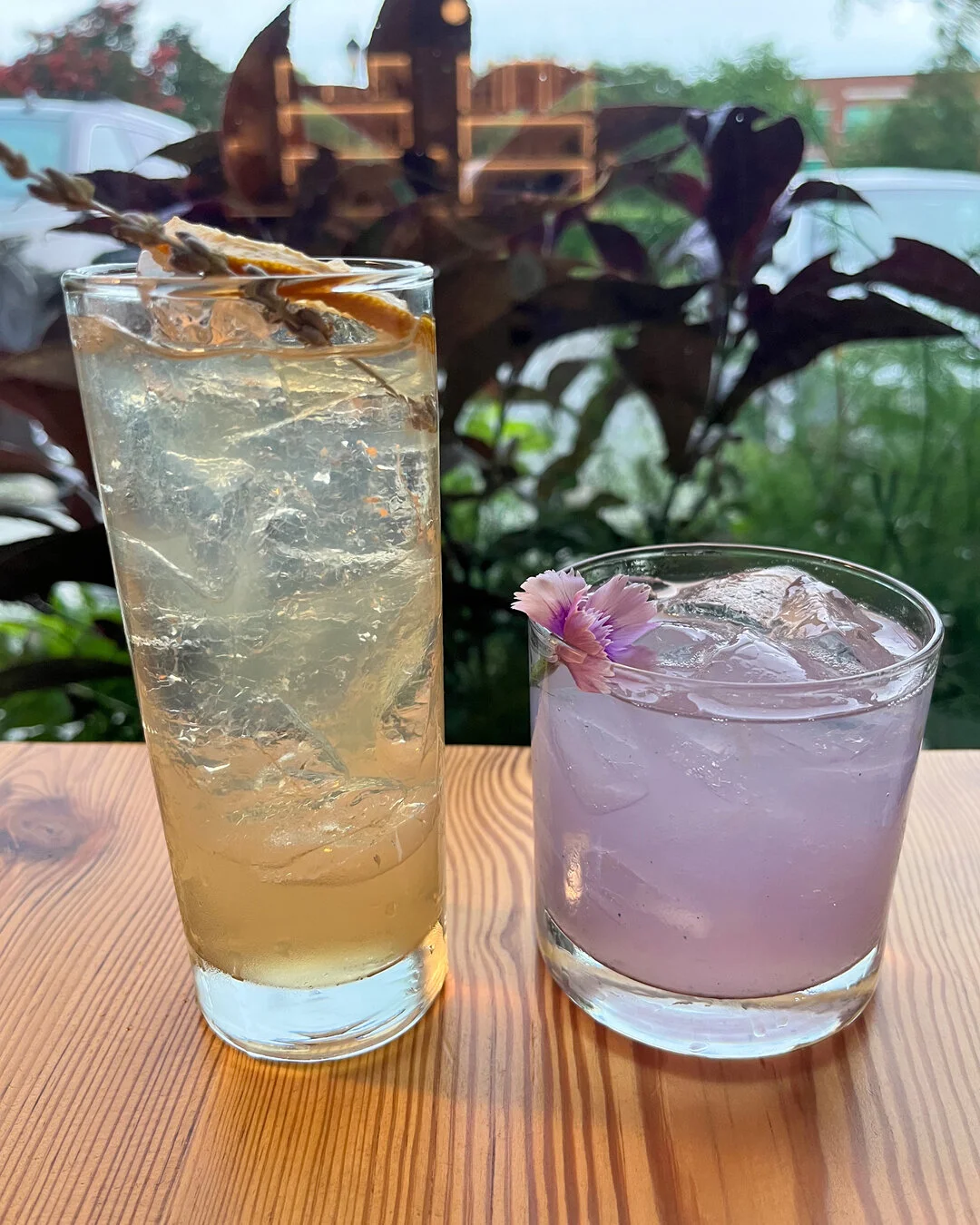 Need some dinner plans for tonight? We'd suggest giving @thegreenhouseonline a visit! They have an inventive, plant-based menu with an emphasis on sustainability, seasonality, and Wilmington's amazing local producers. ​​​​​​​​
​​​​​​​​
Speaking of am