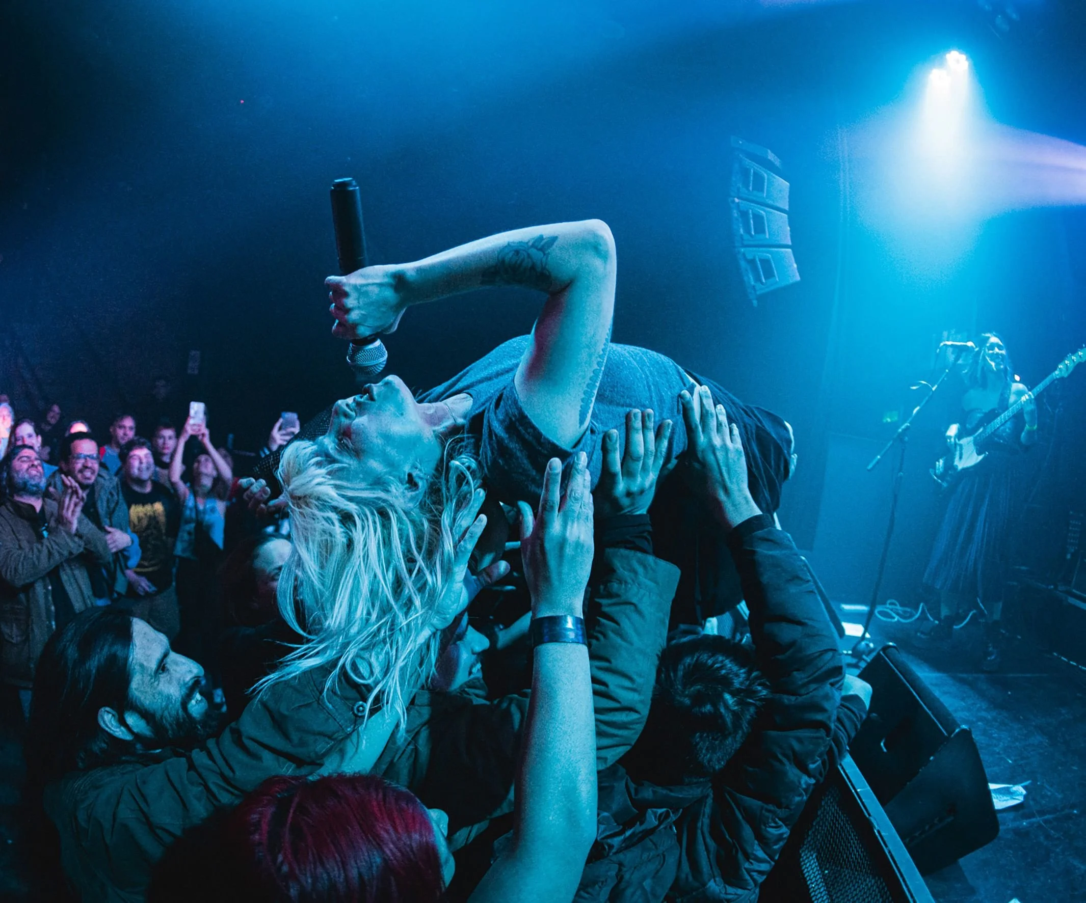 Marina Fages & corokia