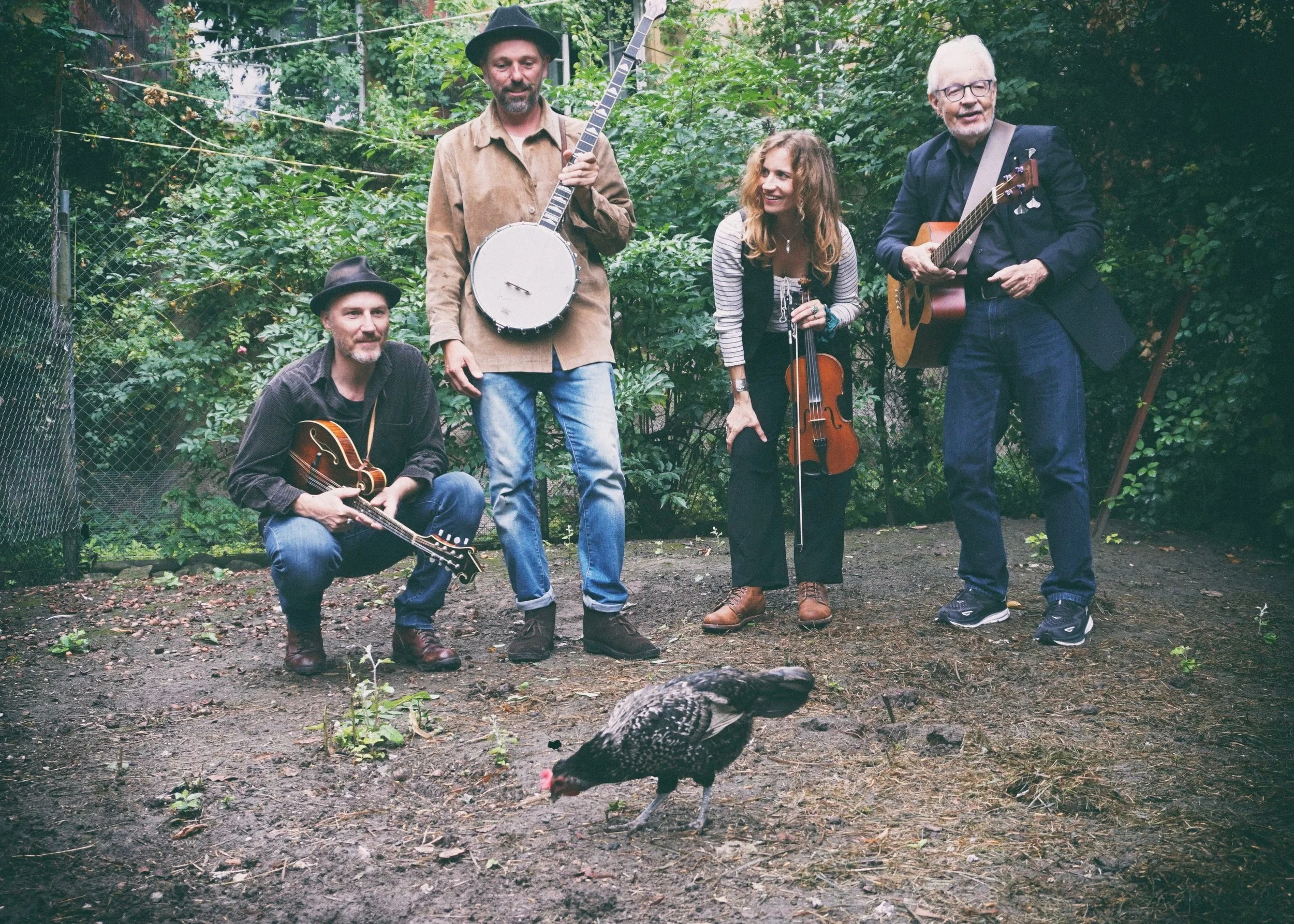 The Chicken Ruckus & Ophelia's Iron Vest