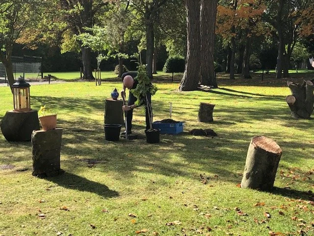 Planting a symbolic oak