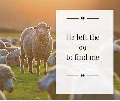 Camino: December 6th