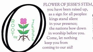 Camino: December 19th