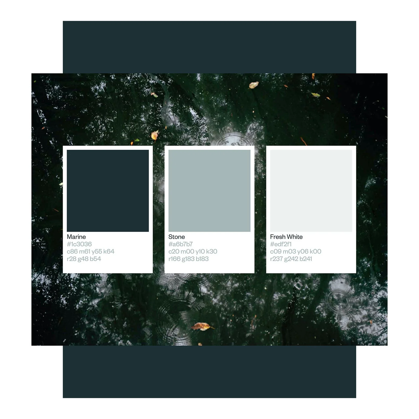 Color palette featuring three shades: Marine (#1c3036), Stone (#a6b7b7), and Fresh White (#edf2f1), with a background of water reflecting trees and sky.