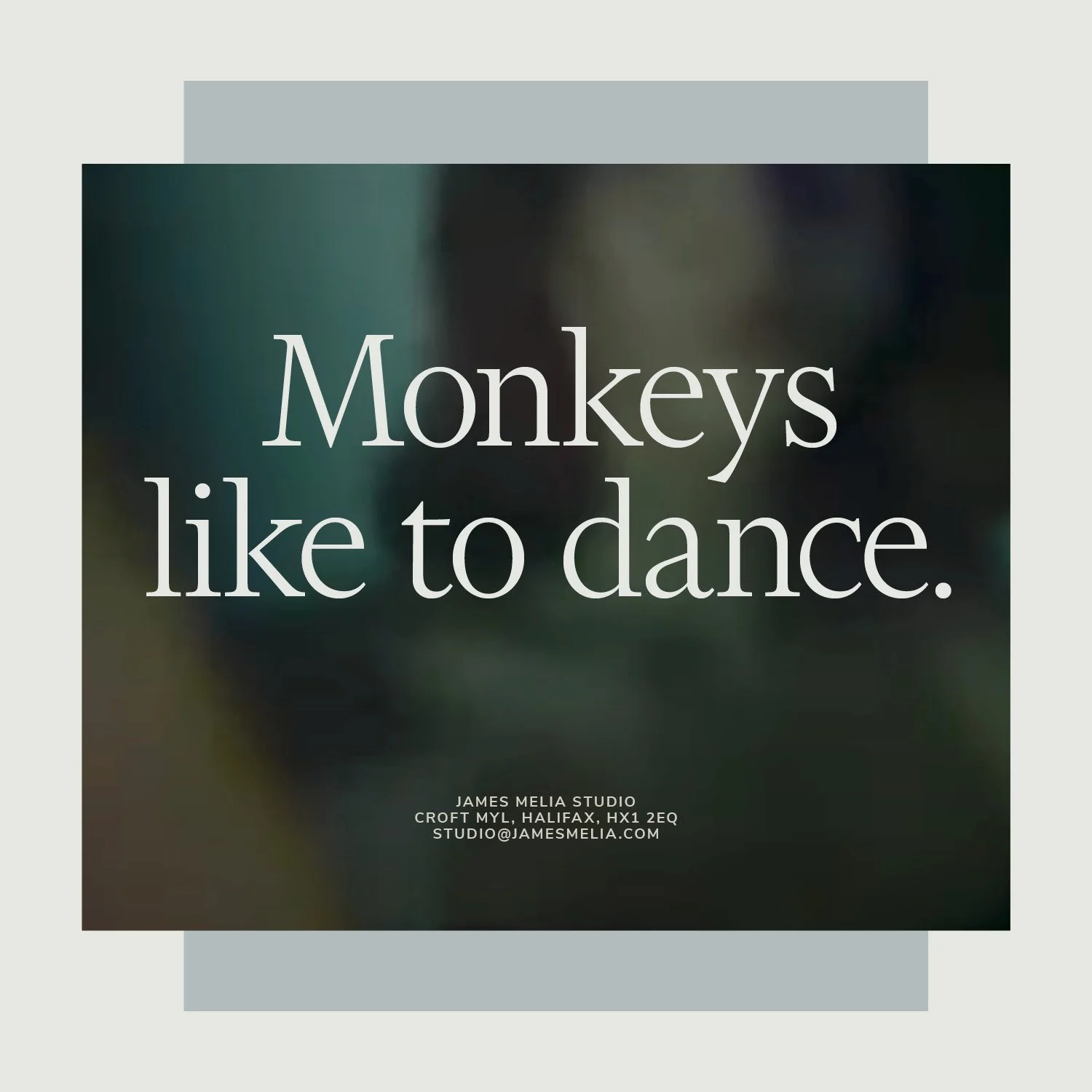 A promotional poster with a blurred background featuring the text "Monkeys like to dance" in large white font. Additional smaller text provides contact information for James Melia Studio in Halifax, Nova Scotia.
