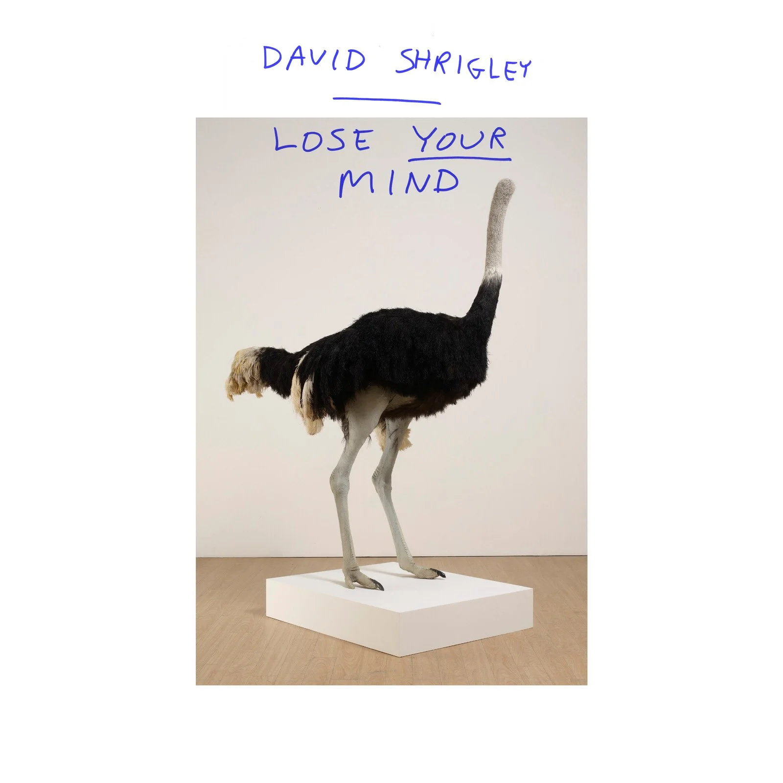 A stuffed ostrich with handwritten blue text above it reading "David Shrigley" and "Lose Your Mind" on a plain white background.
