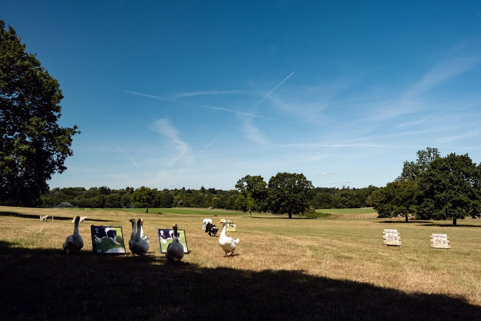 commercial-business-engineering-photography-coworth-park-1600-3368.JPG