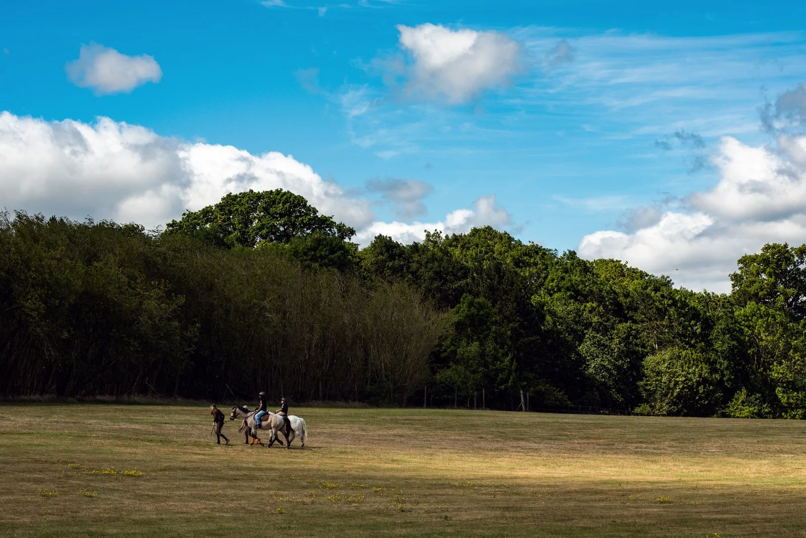 Corporate event photography at Coworth Park, Ascot