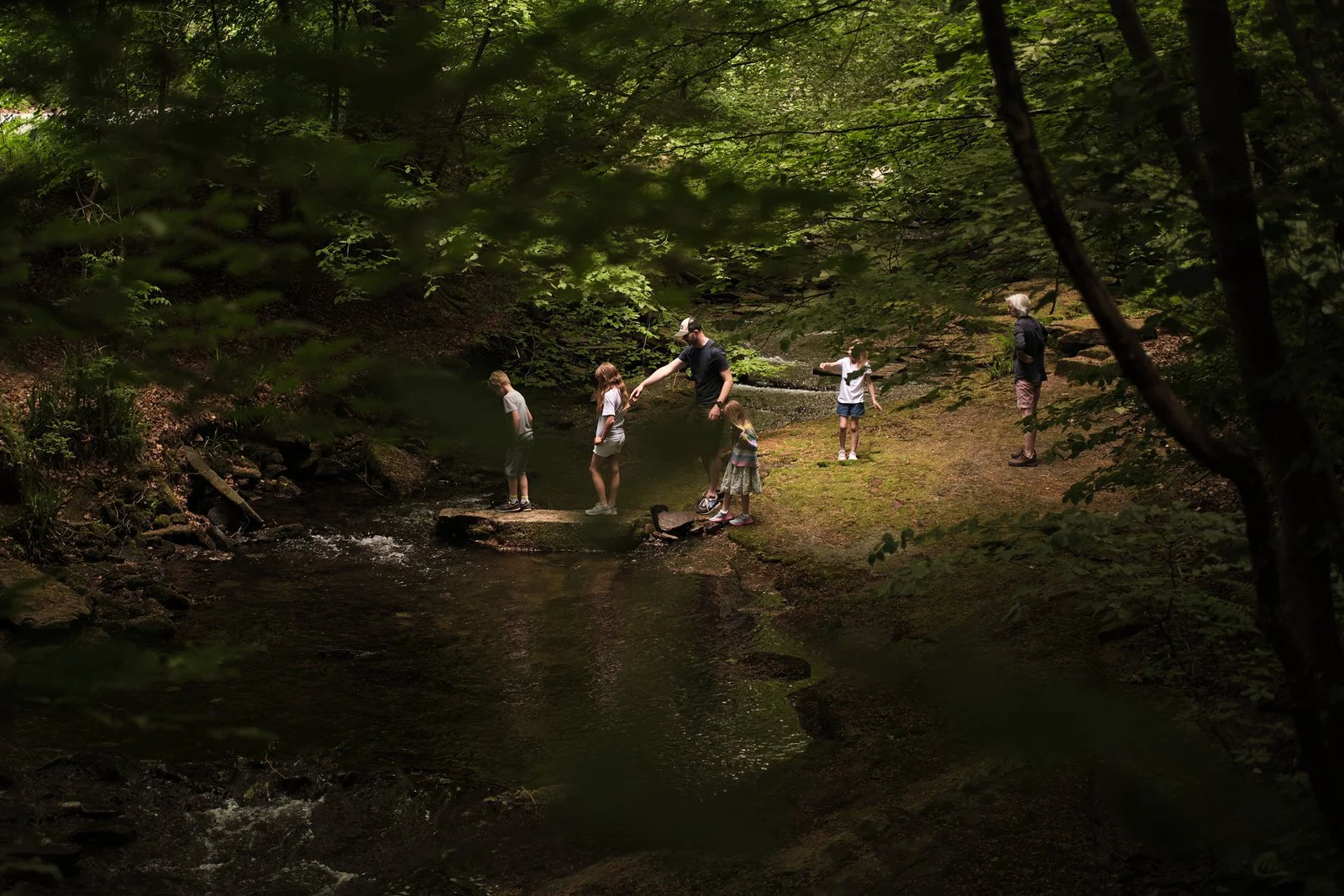 family_documentary_photography_cheshire_uk_children_outdoors_woods.jpg