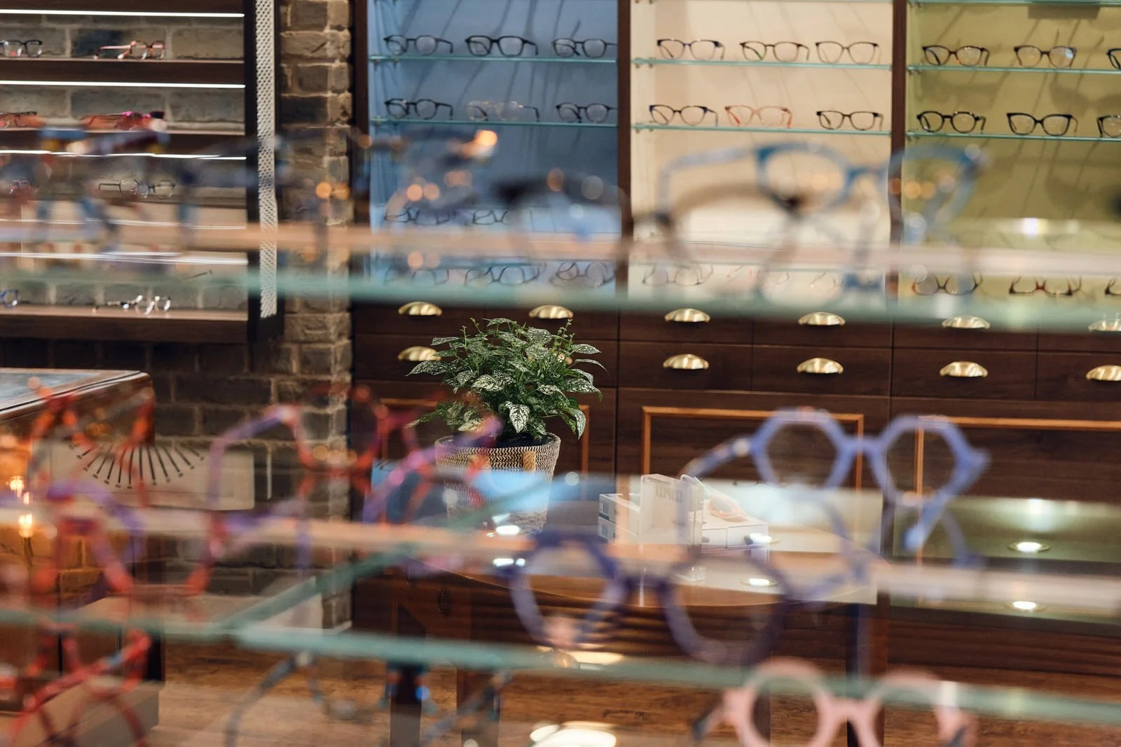 independent-business-photographer-yorkshire-optician-wetherby-1600-1393.JPG