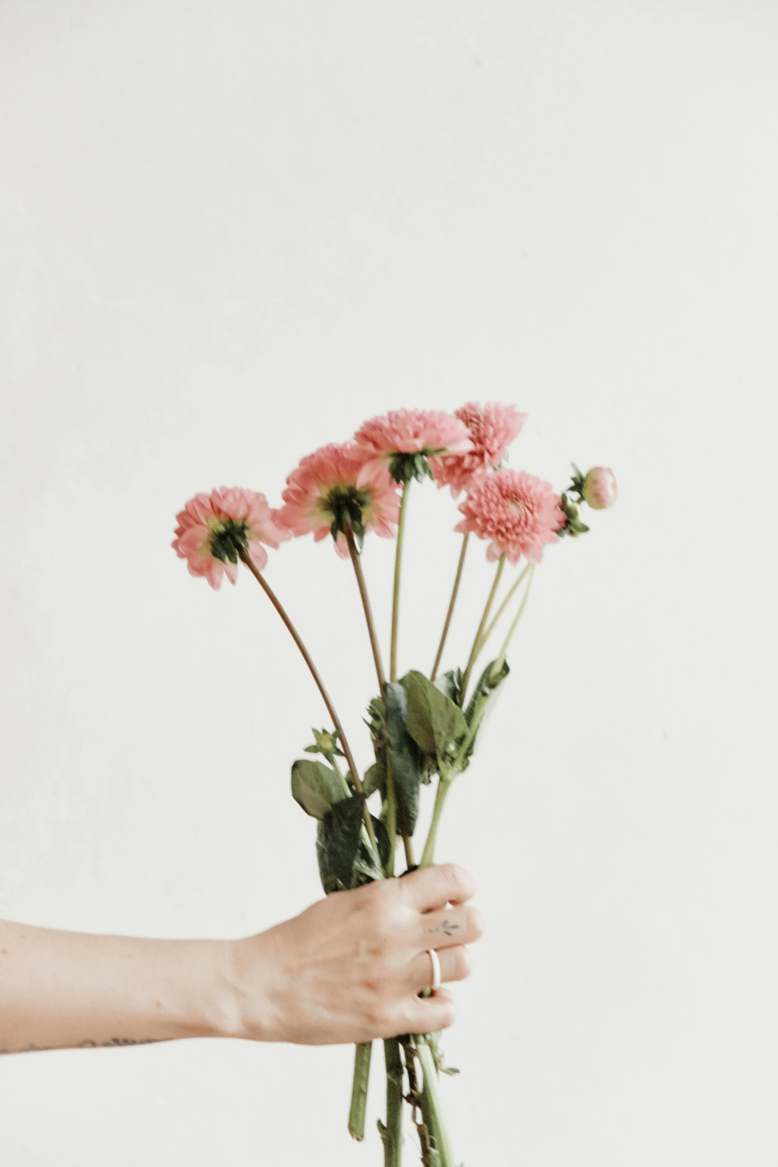 HAUTNAH_Lovis Trummer Photography_WortundWachsen 141.jpg