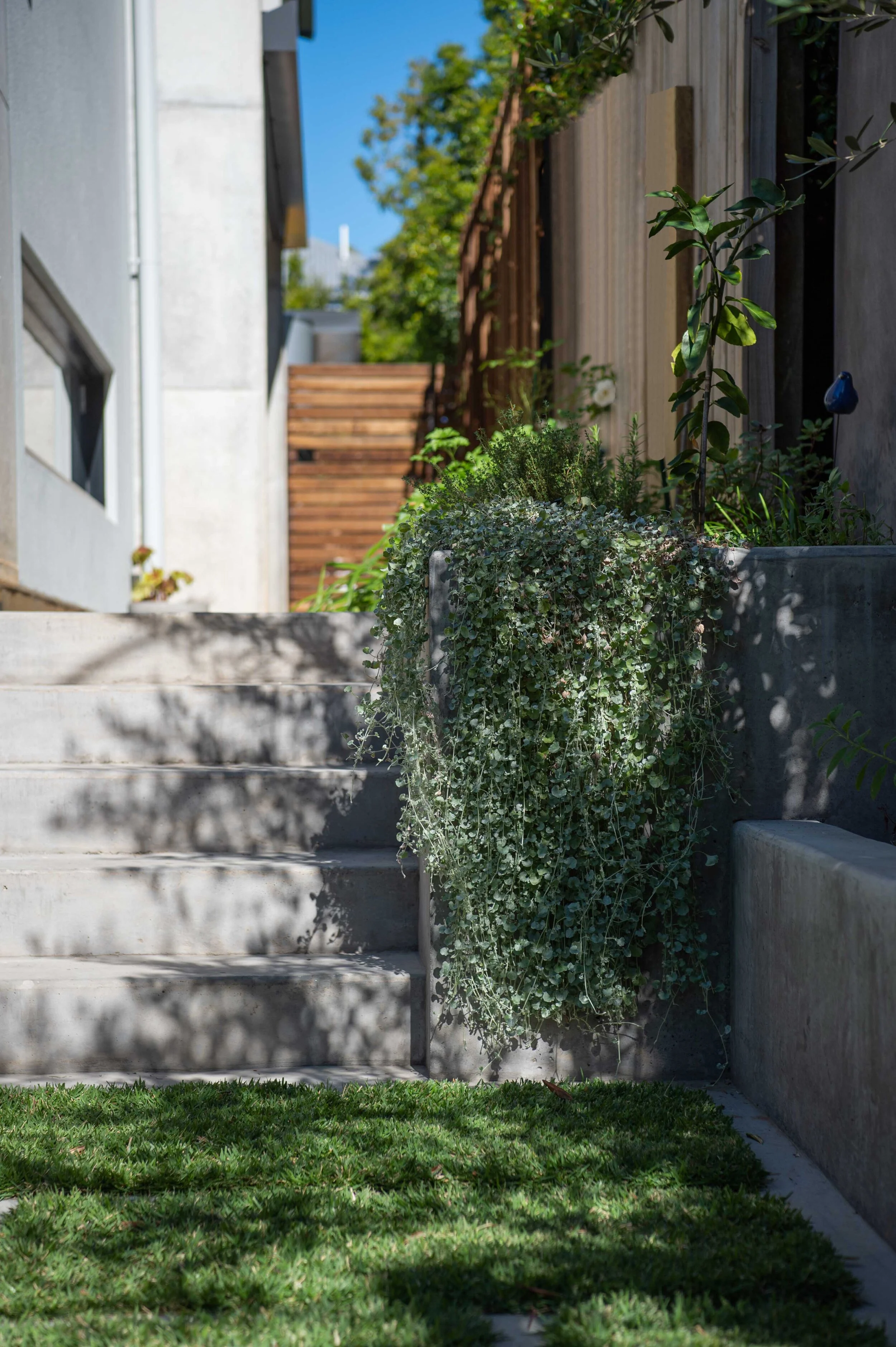 Twickenham Road Low Res-15.jpg