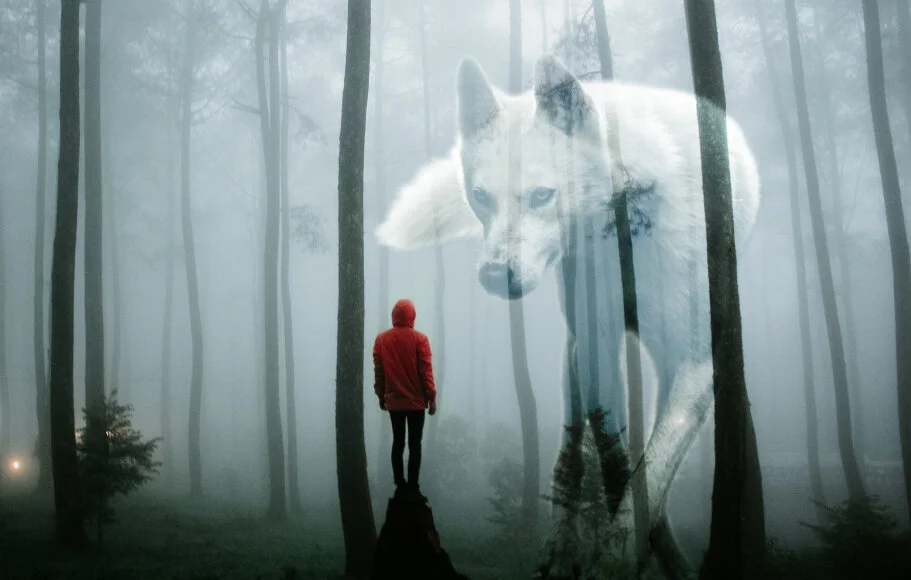 Constell'art : Le petit chaperon rouge