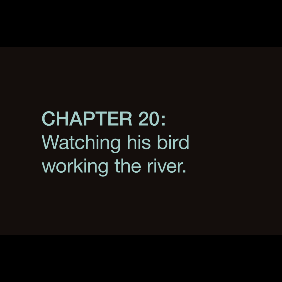 Chapter 20—Postcard