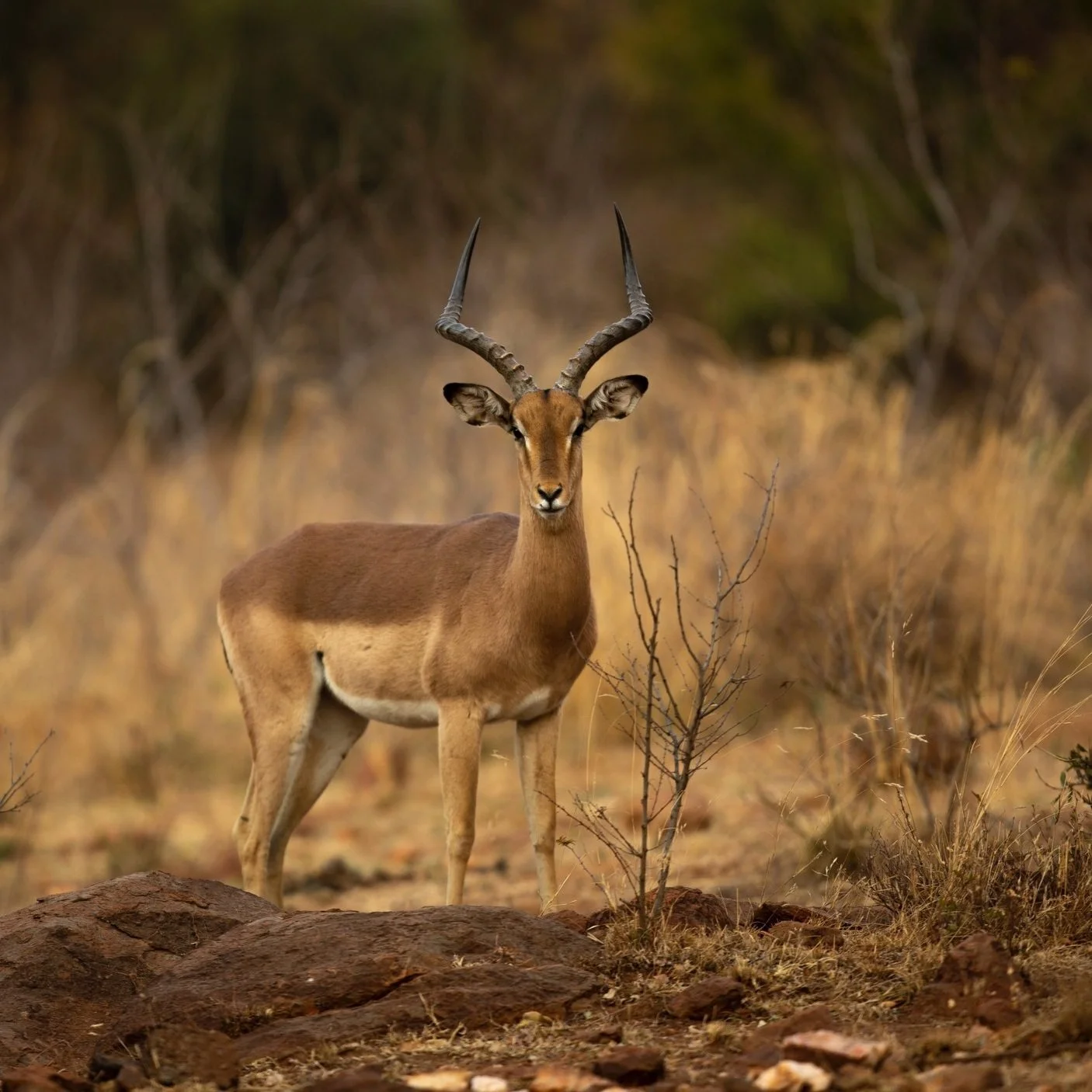 Hunting Packing List What do I need to pack for my Hunting trip