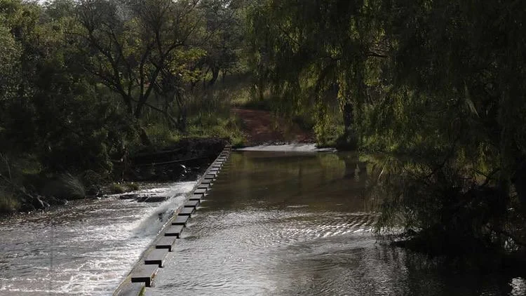 Hunting camp in South Africa