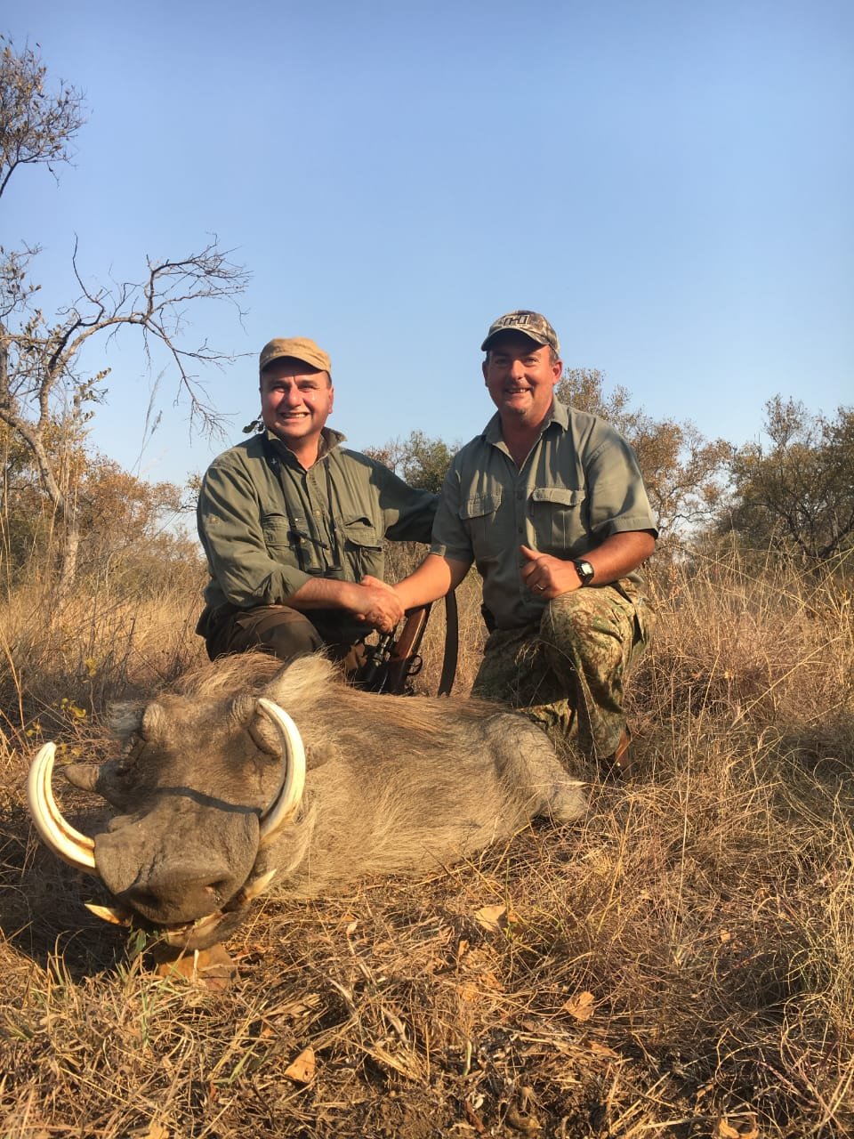 Hunting warthog in Africa