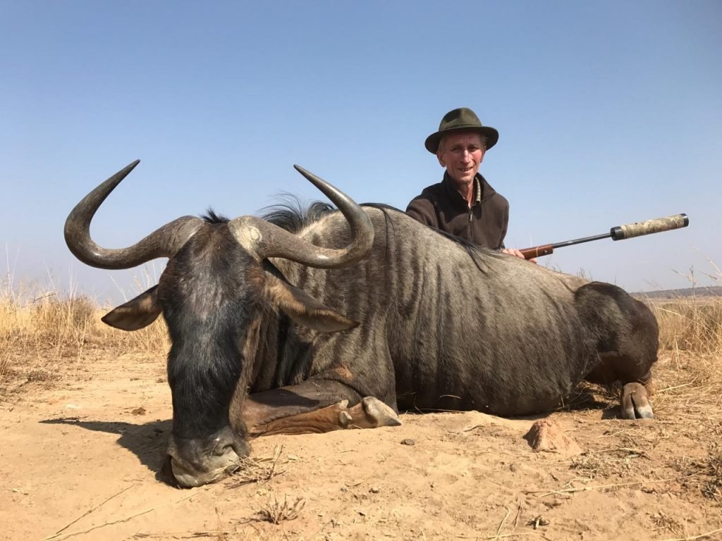 Hunting blue wildebeest in Africa