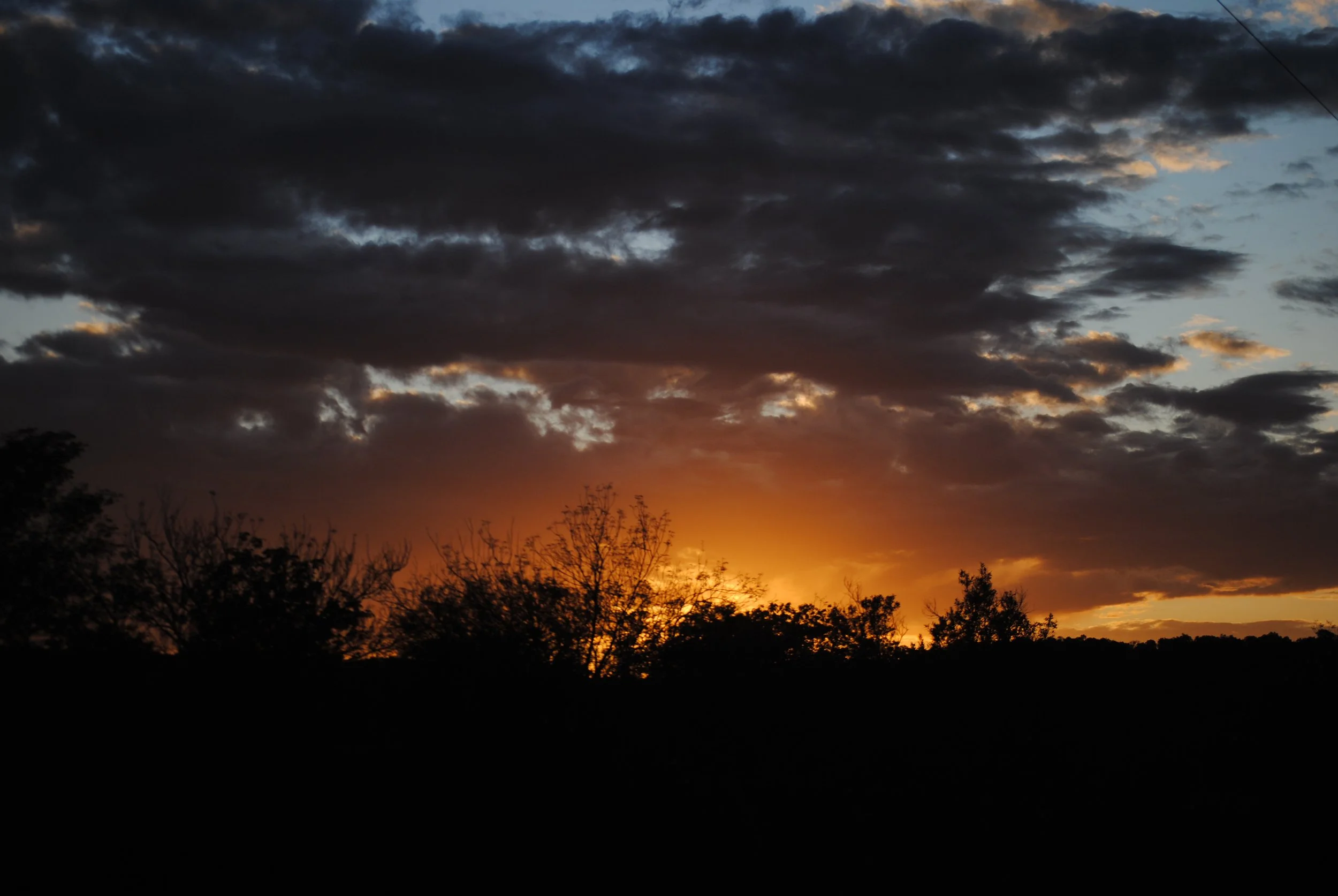Hunting camp in South Africa