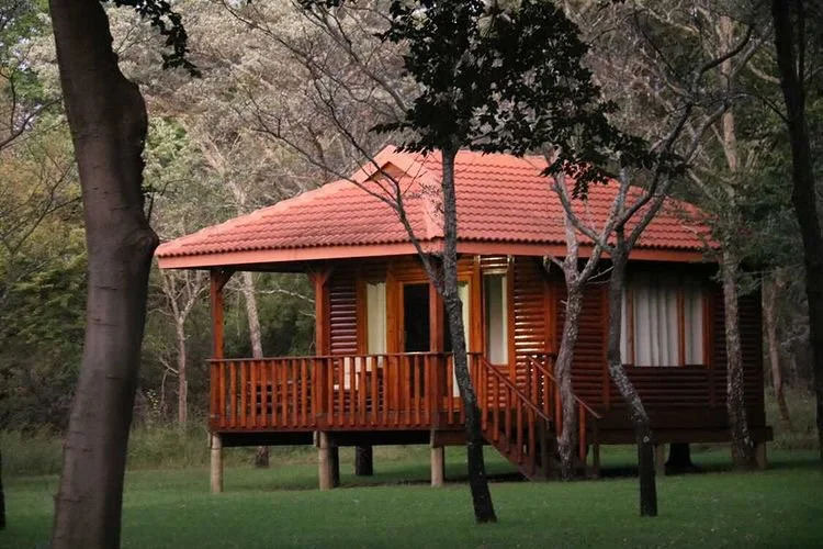 Hunting camp in South Africa