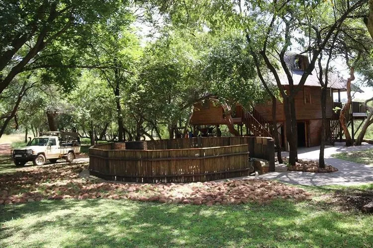 Hunting camp in South Africa