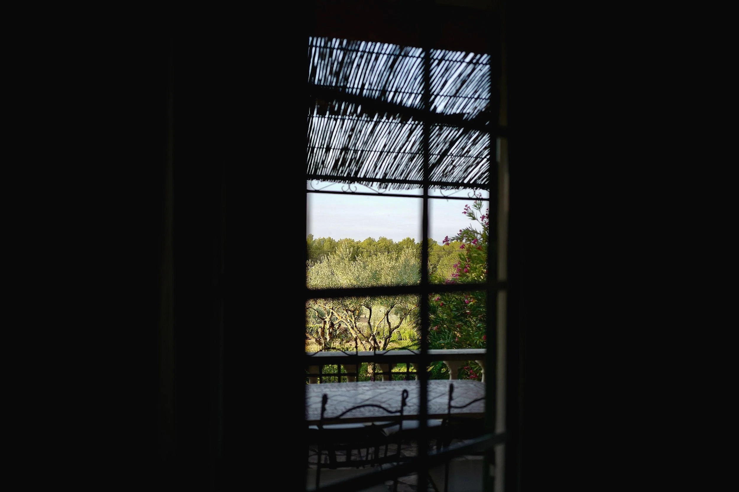L1120726.jpg