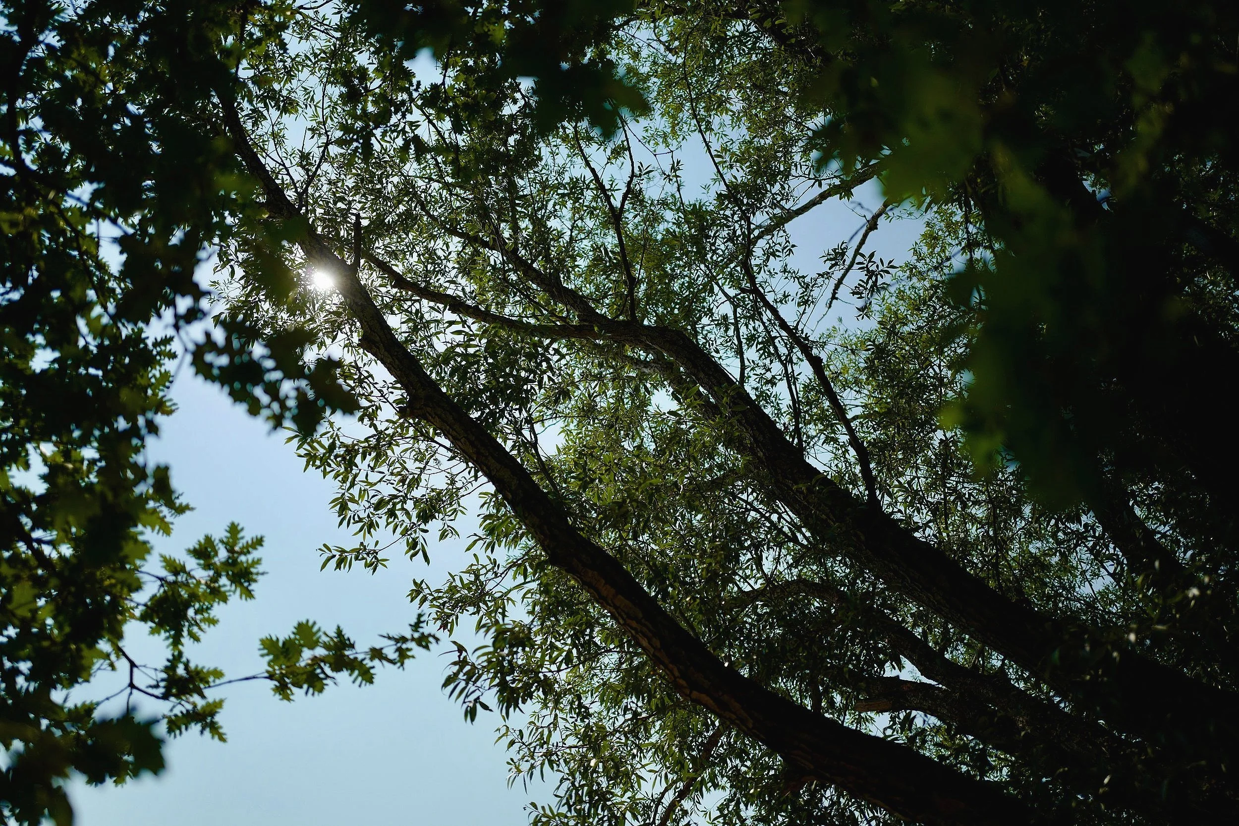 L1120985.jpg