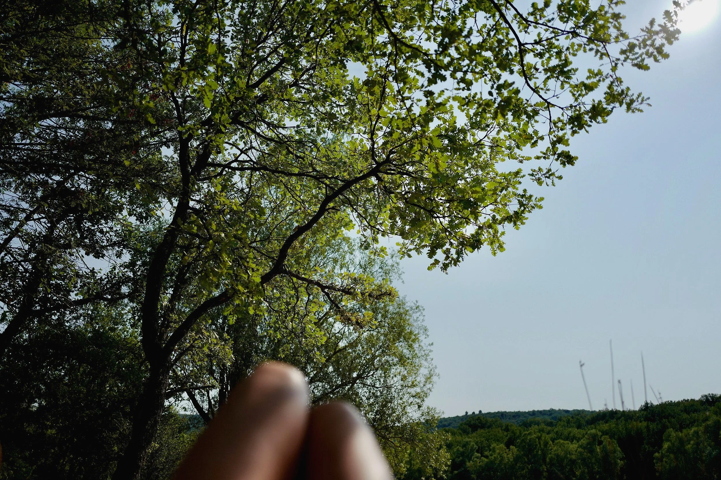 L1130013.jpg